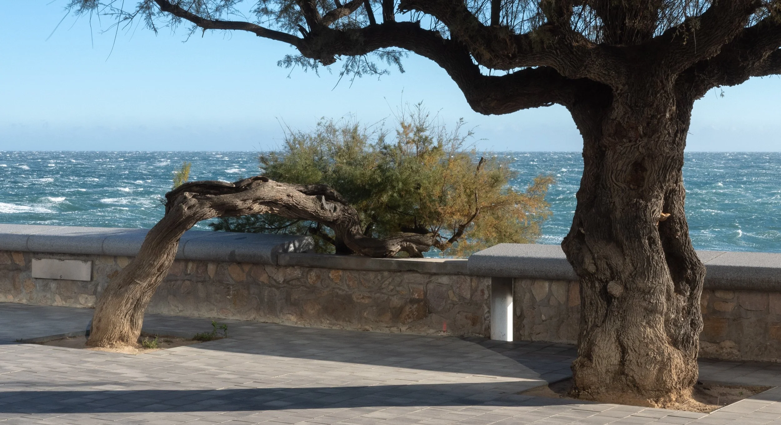 Respect for age with the renovation of the boulevard in L'escala (Girona-Cataluña).
