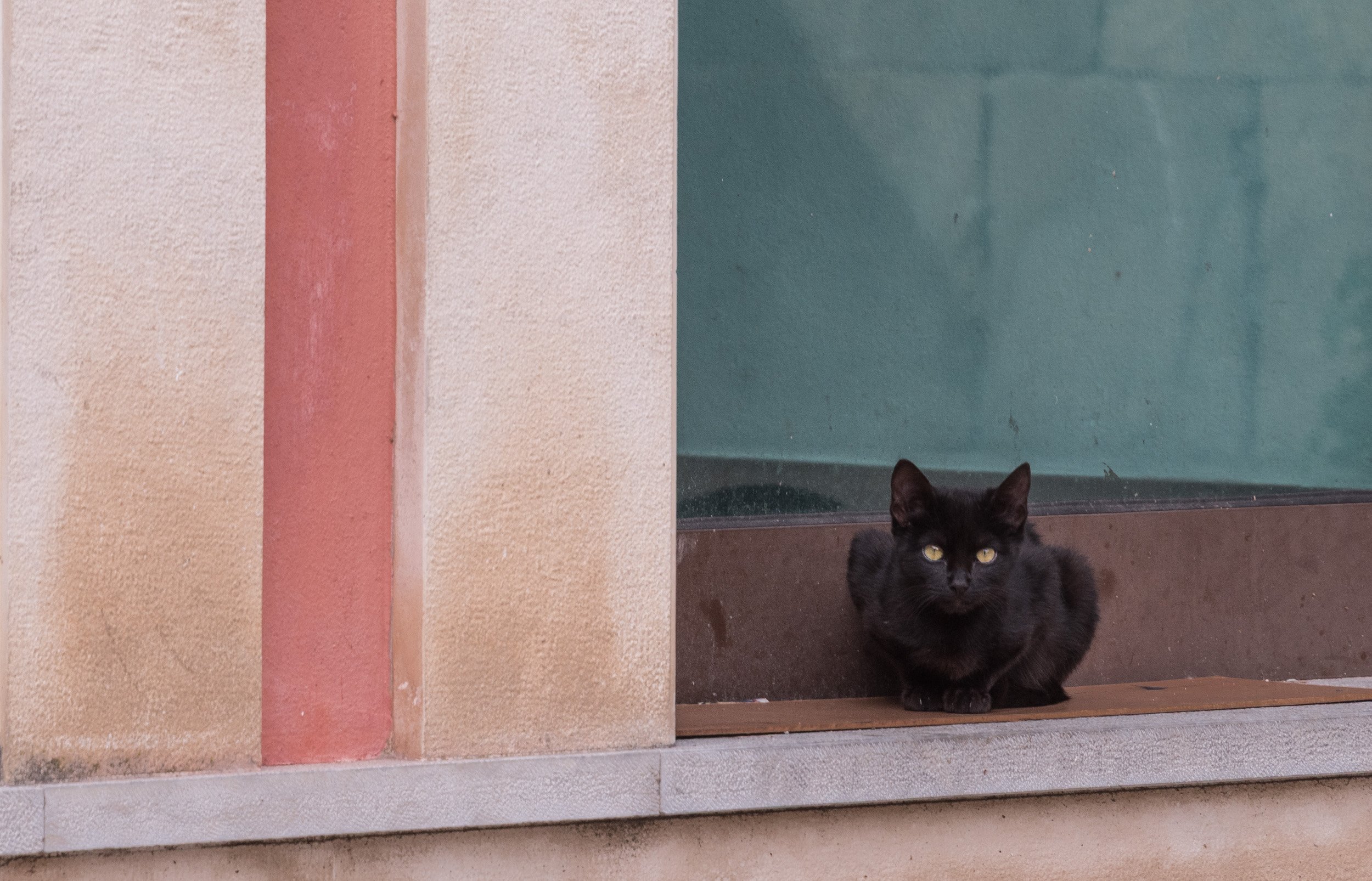 Nikon D750 - 28/200mm