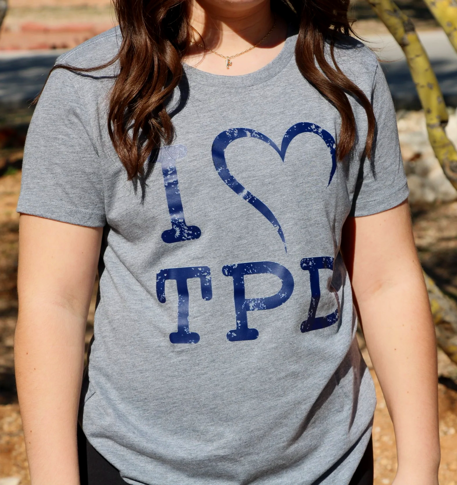 Grey Adult Unisex and Ladies Tri-blend T-Shirt