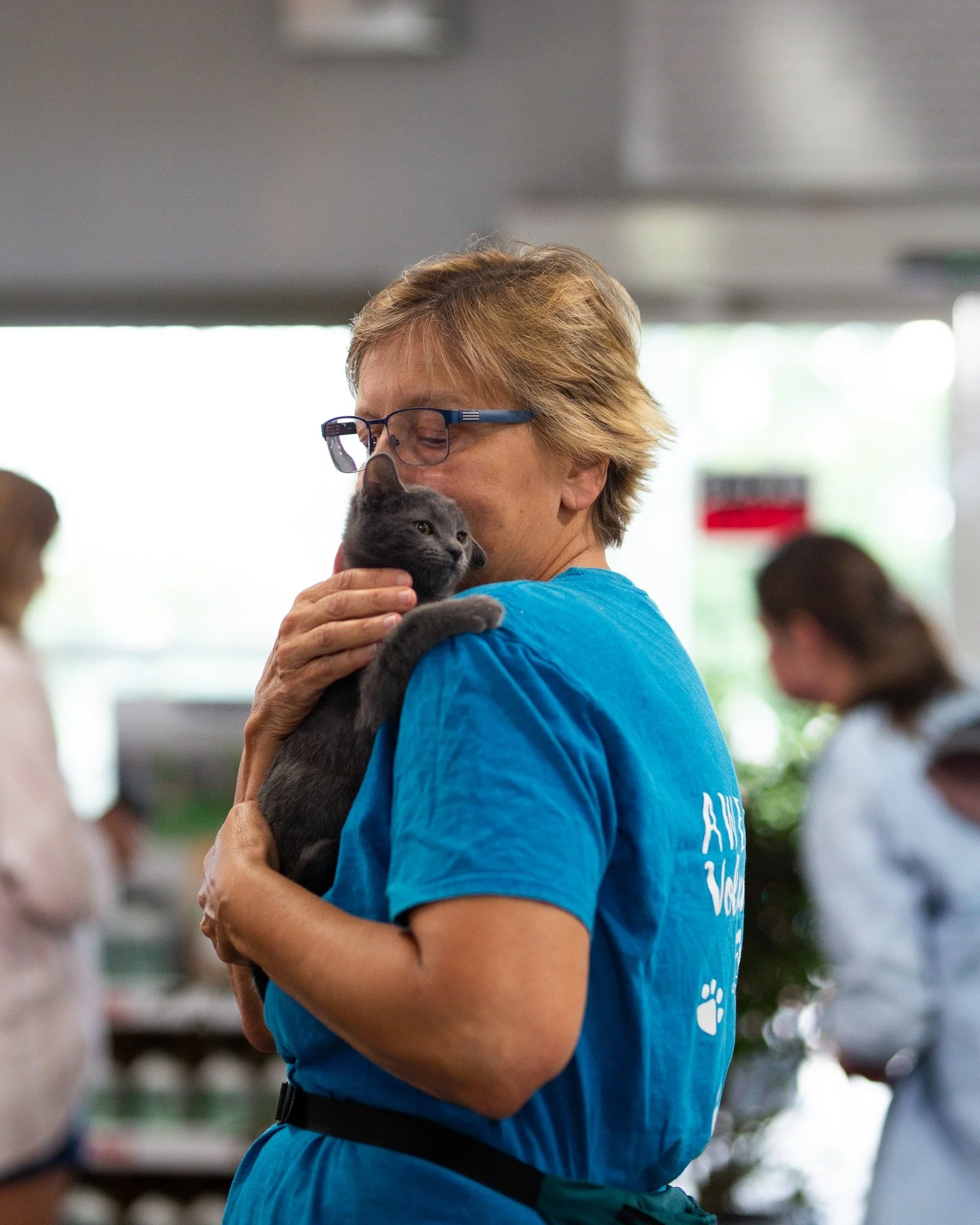 A woman in a blue shirt holding a gray cat close to her face in an indoor setting with other people in the background.