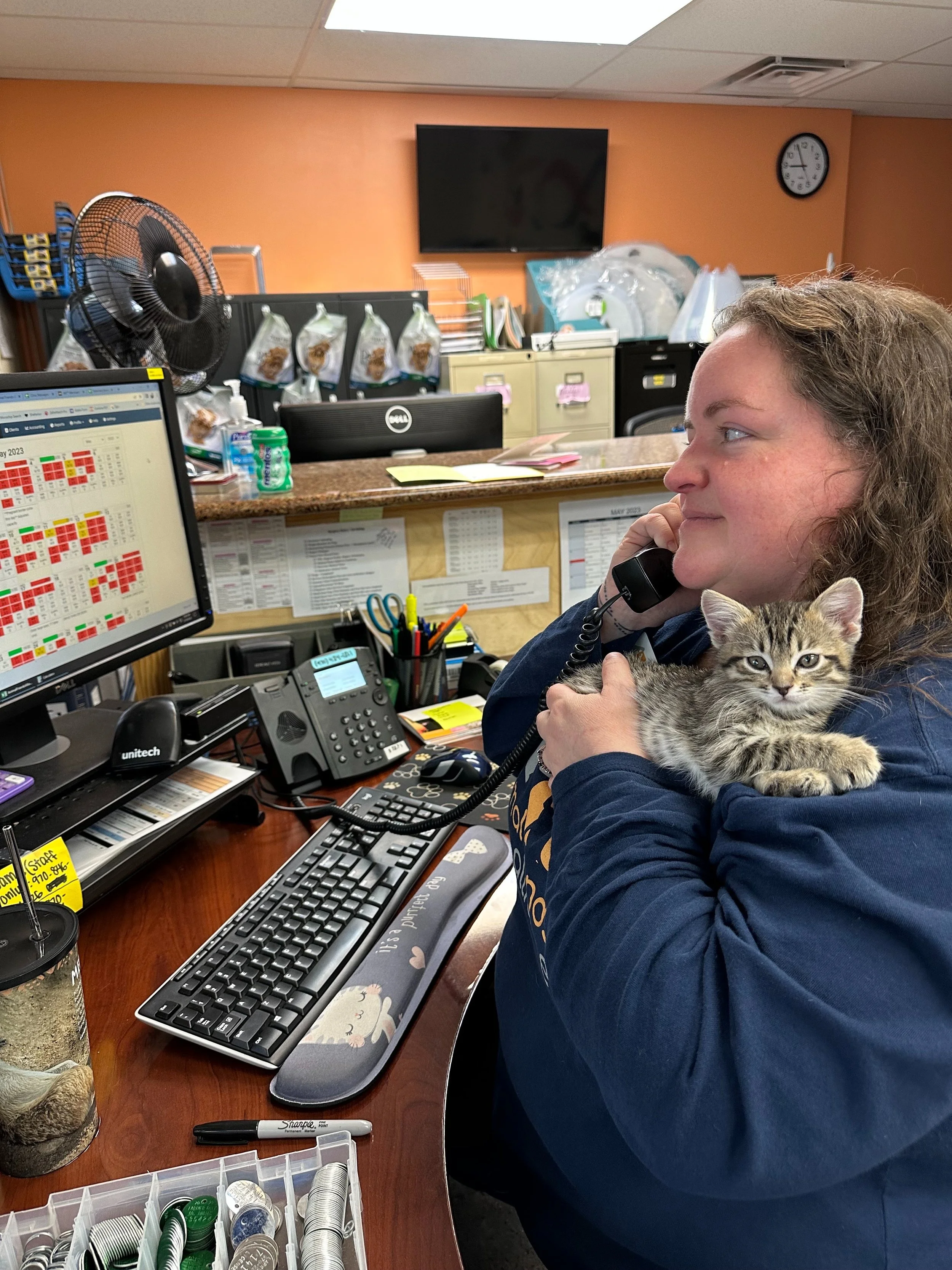 A woman sitting at a desk in an office, holding a telephone receiver to her ear with a cat resting on her shoulder. The desk has a computer monitor, a keyboard, and office supplies.