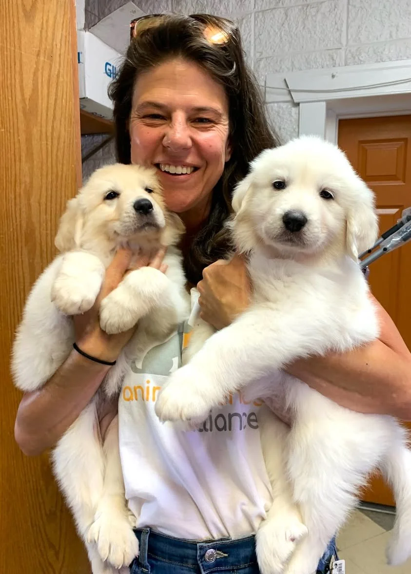 A woman with long brown hair smiling and holding two adorable golden retriever puppies, one in each arm, in an indoor setting.