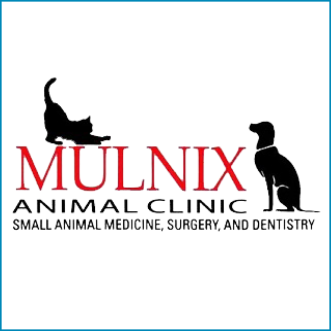 BizPAW Logo Template (3).png