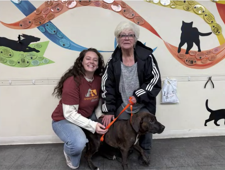 Two women, one young and one older, with a brown Labrador retriever dog, in front of a wall decorated with colorful paper cats and fish cutouts.