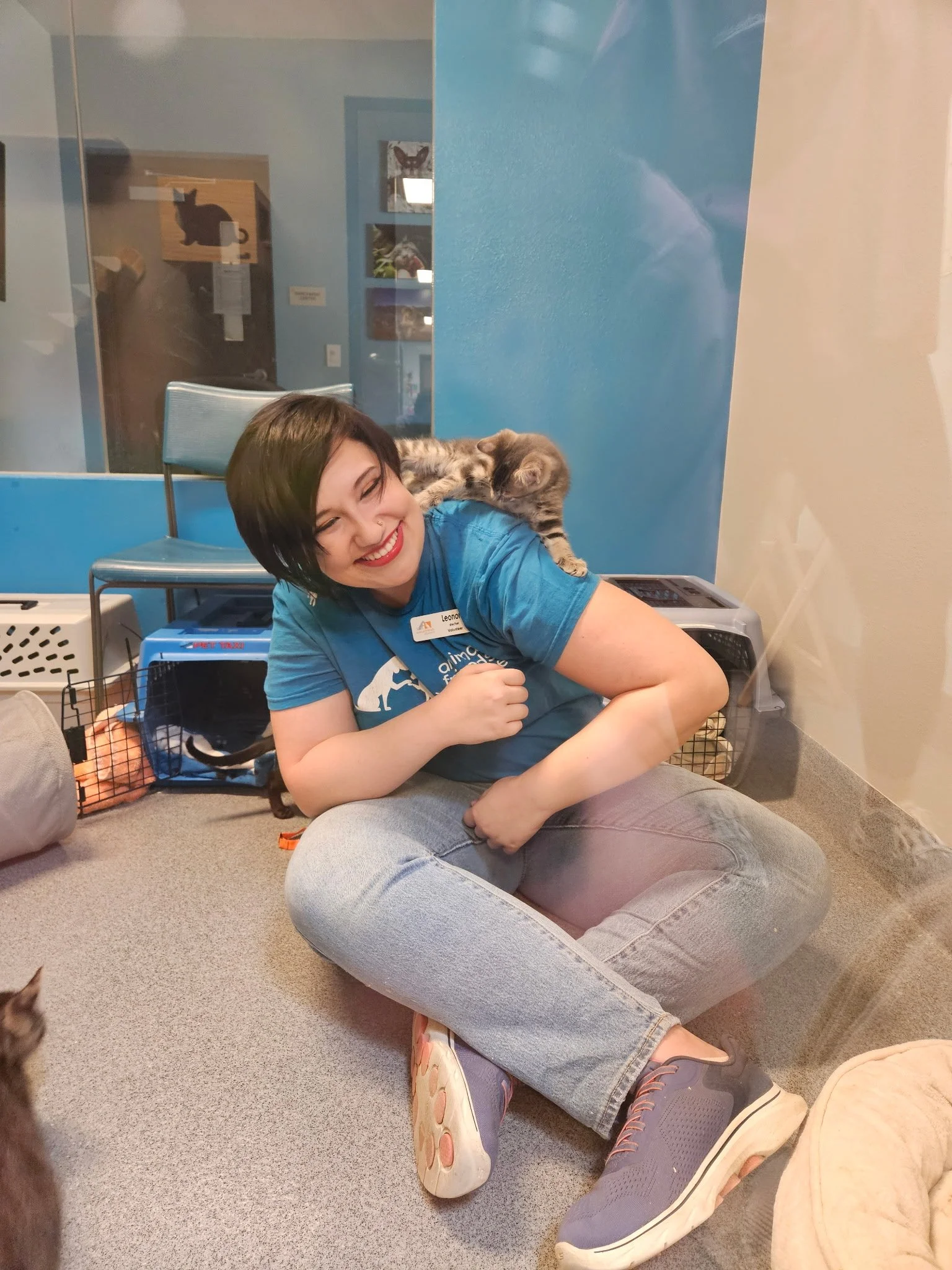 A young woman with short dark hair, wearing a blue shirt, sitting on the floor and smiling with a gray kitten on her shoulder. The woman is inside an animal shelter or pet adoption center, surrounded by pet cages and supplies.