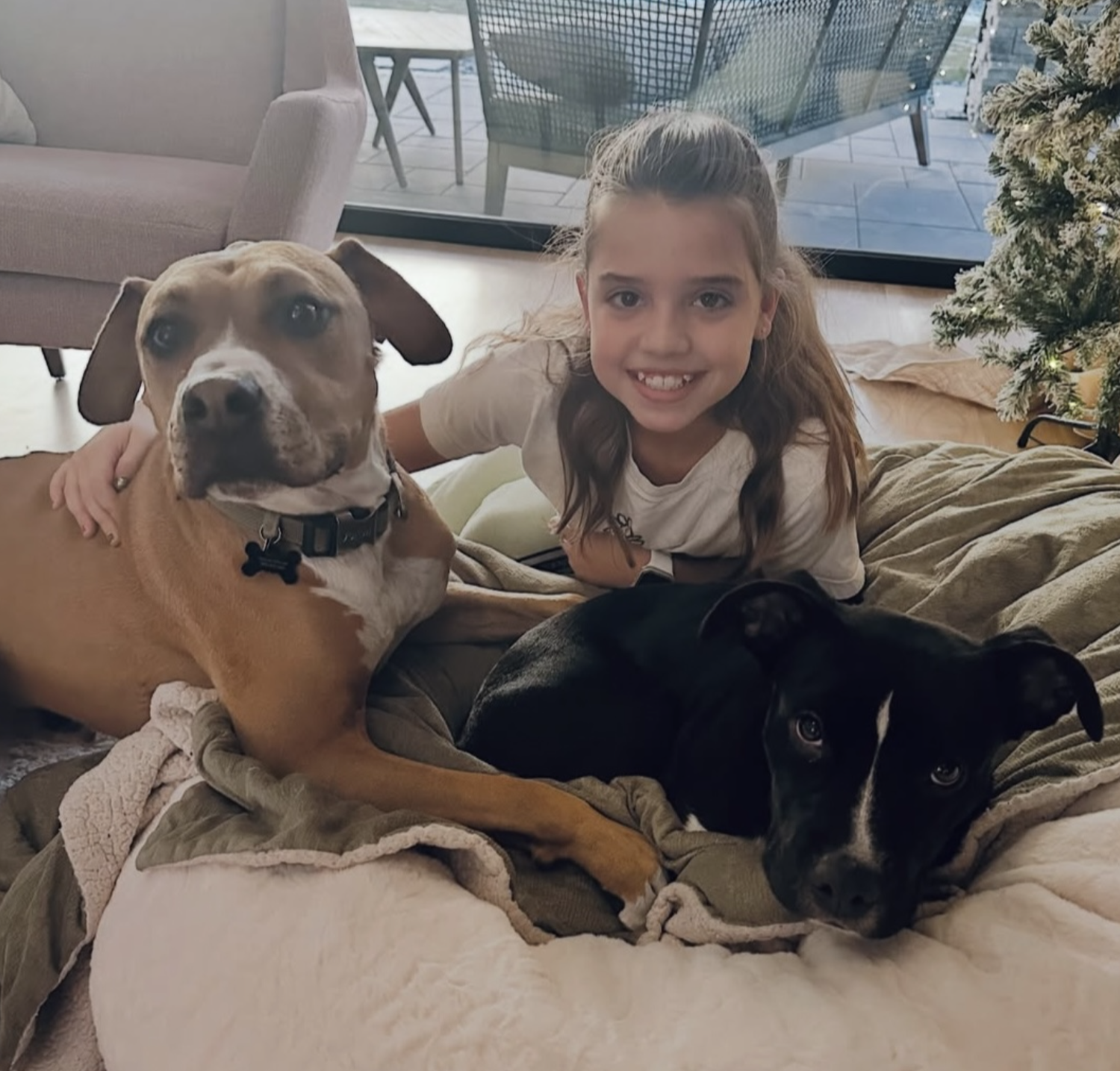 A young girl with long, wavy hair smiling and lying on a bed with two dogs, one tan and white with a collar and one black with white markings, inside a cozy living room with a glass sliding door, a Christmas tree, and outdoor patio furniture in the background.