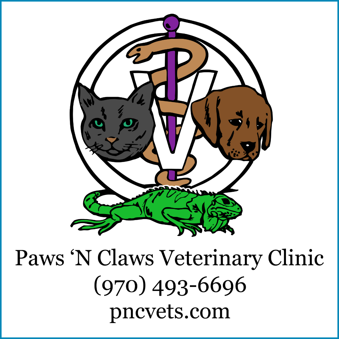 Logo of Paws 'N Claws Veterinary Clinic featuring a gray cat, a brown dog, a green lizard, and a purple and brown caduceus symbol with a large letter V, contact number, and website.