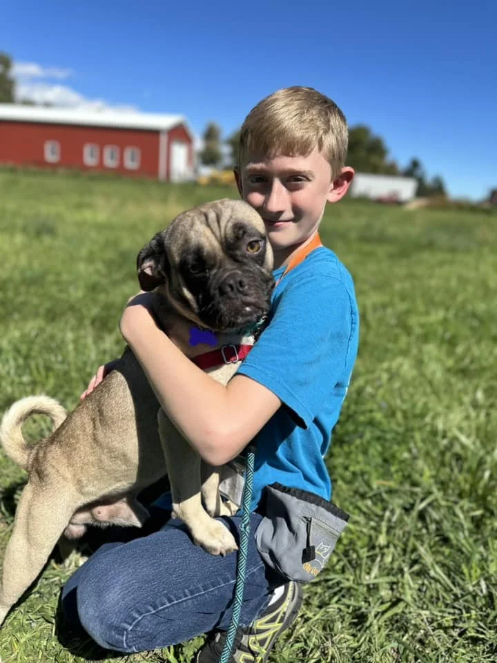 Young boy in a blue shirt hugging a large brindle-colored dog on a grassy field with barns in the background under a sunny blue sky.