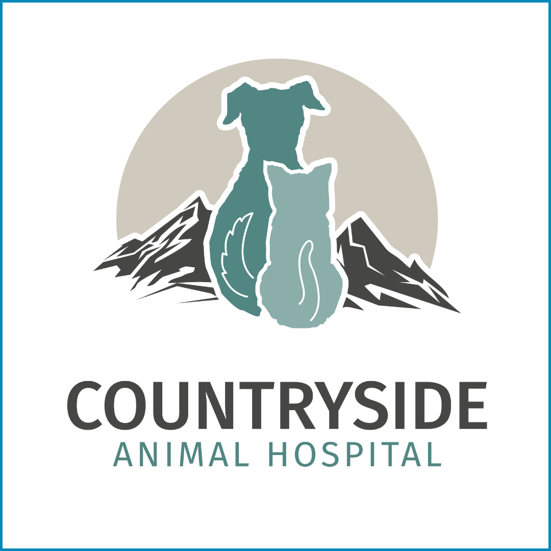 Logo for Countryside Animal Hospital featuring a dog and a cat silhouette with mountain background and a circular gray sun.