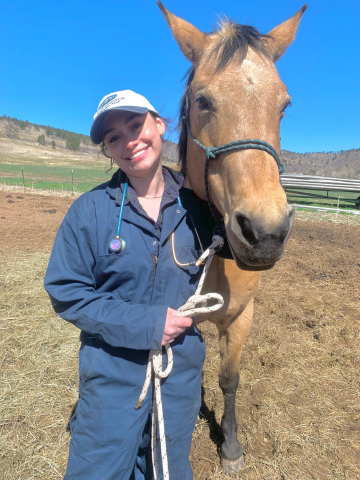 A woman in a blue jacket and white cap standing next to a light brown horse with a black mane, holding a rope, outdoors on a sunny day with blue sky and hills in the background.