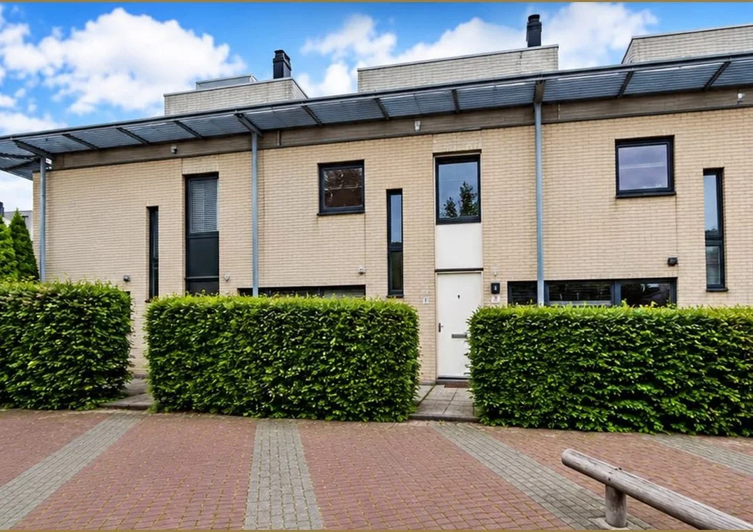 dgg_aangekocht_zilvermeeuw.jpg