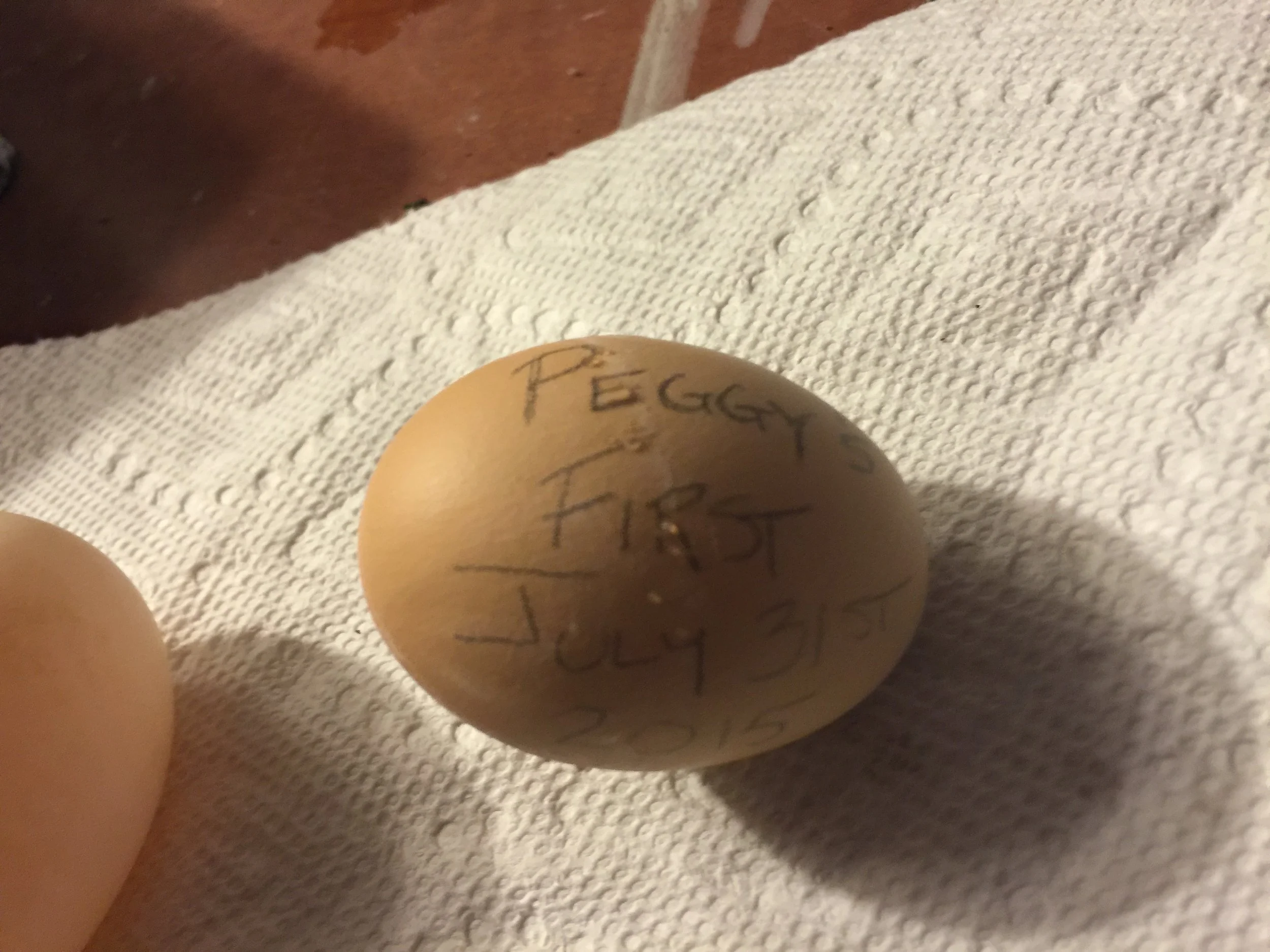 A brown egg with the words 'PEEGY'S FIRST' and 'JULY 21 19' written on it in black ink, resting on a white textured cloth.