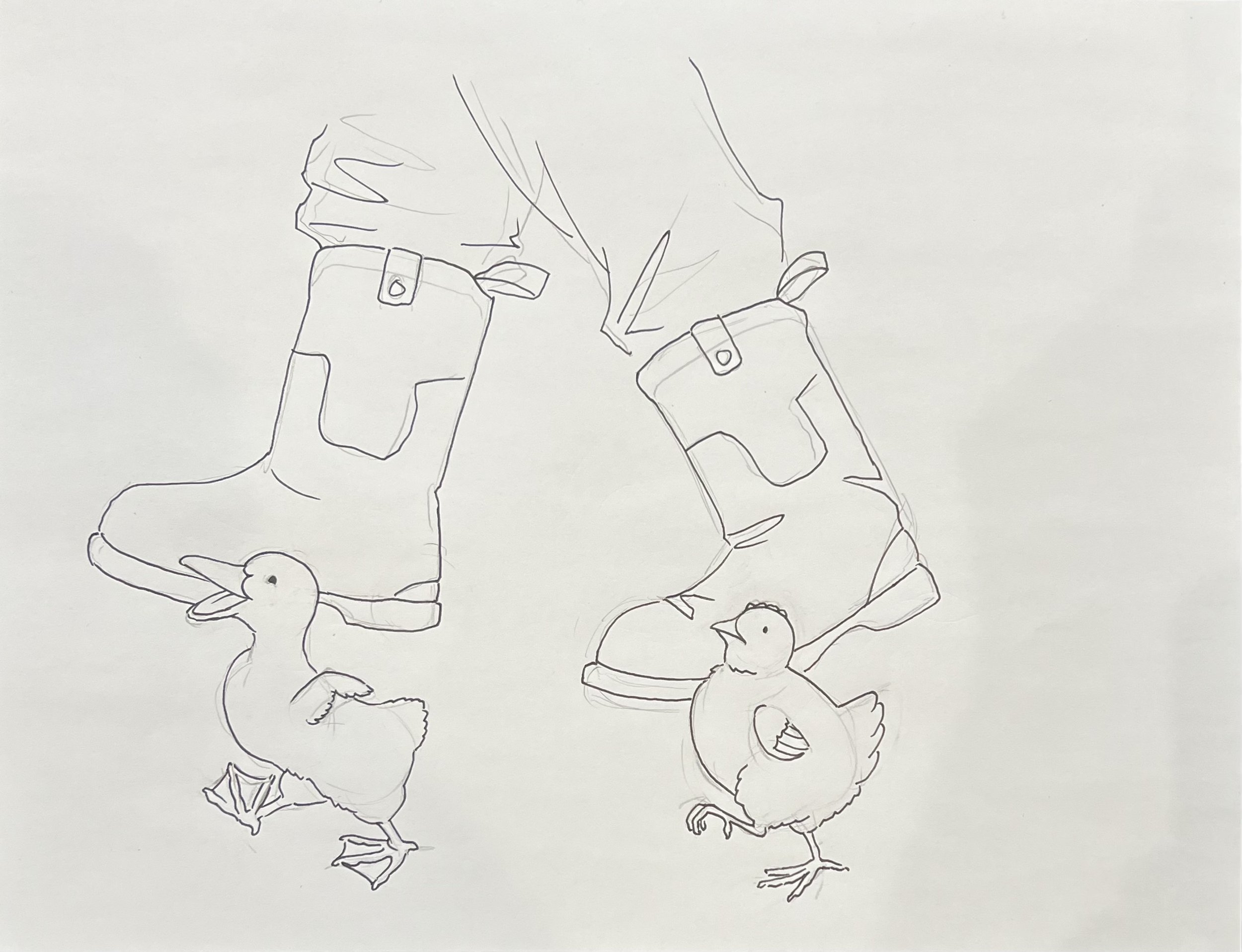 Drawing for children's book of a person's legs in jeans and boots with two ducks standing nearby.
