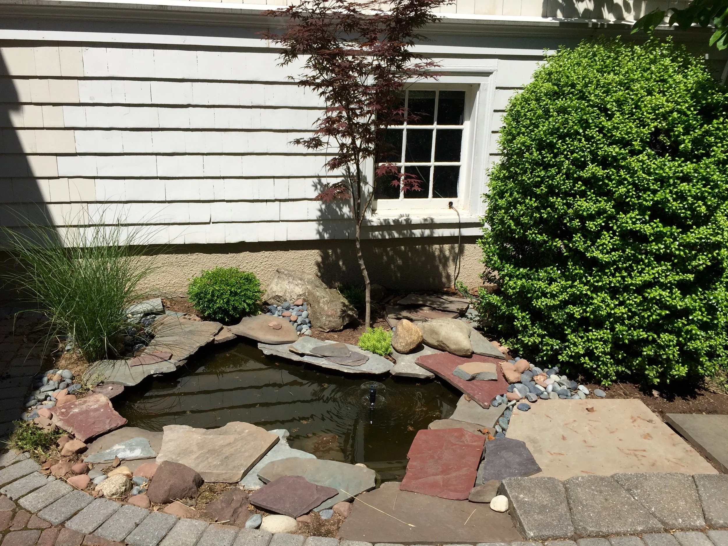 A small backyard garden with a pond surrounded by stones, a large bush, a small tree, and a window on a white wooden house.