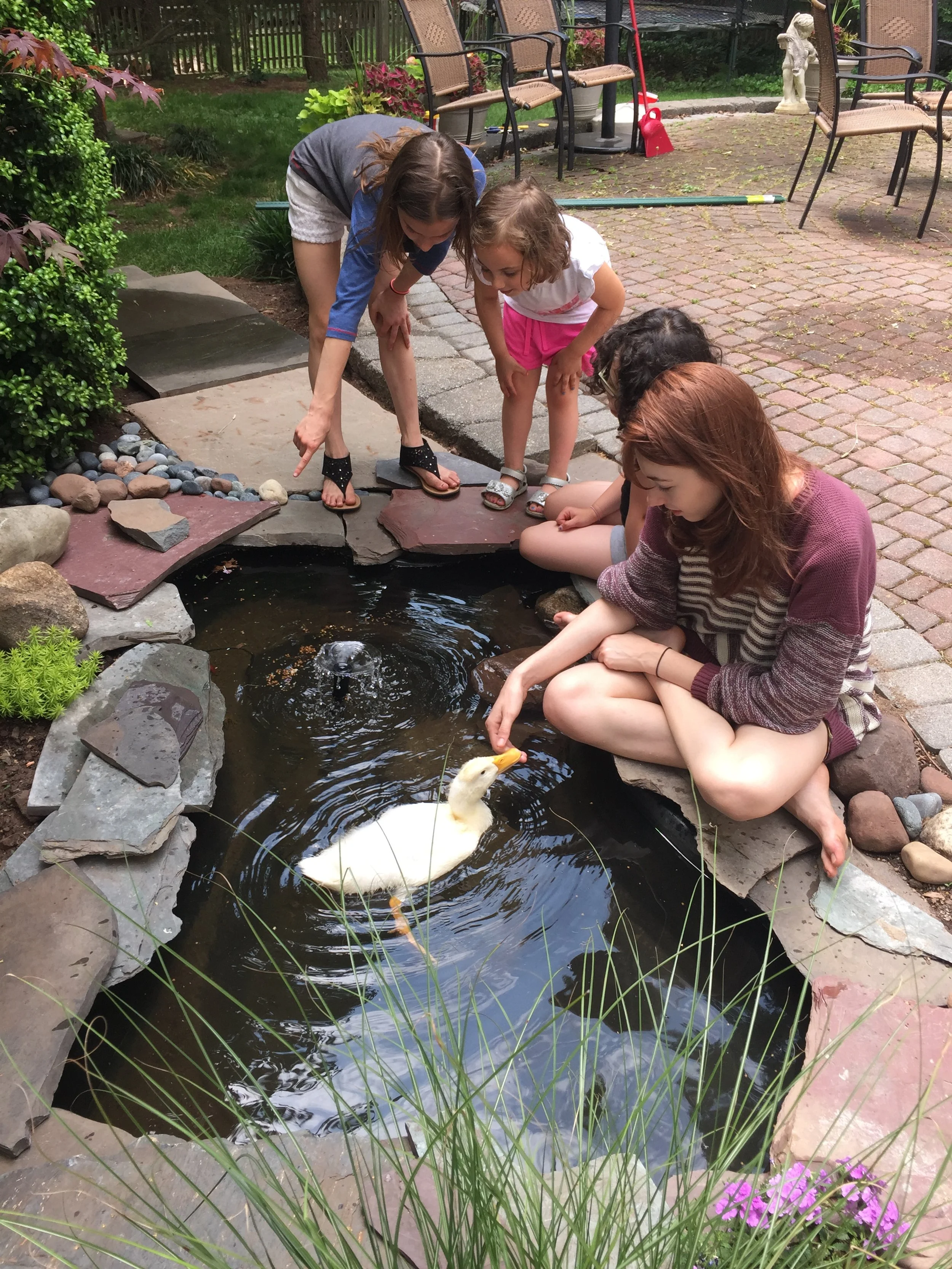 A group of children and an adult observing a duck in a small pond in a backyard garden.