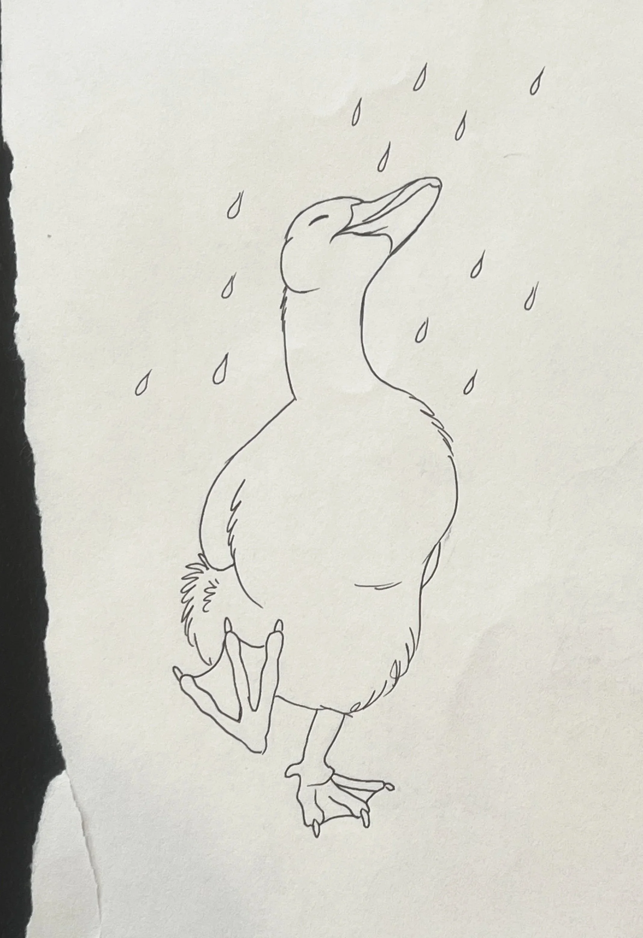 Line drawing for children's book of a duck standing with eyes closed, beak open, and surrounded by raindrops.