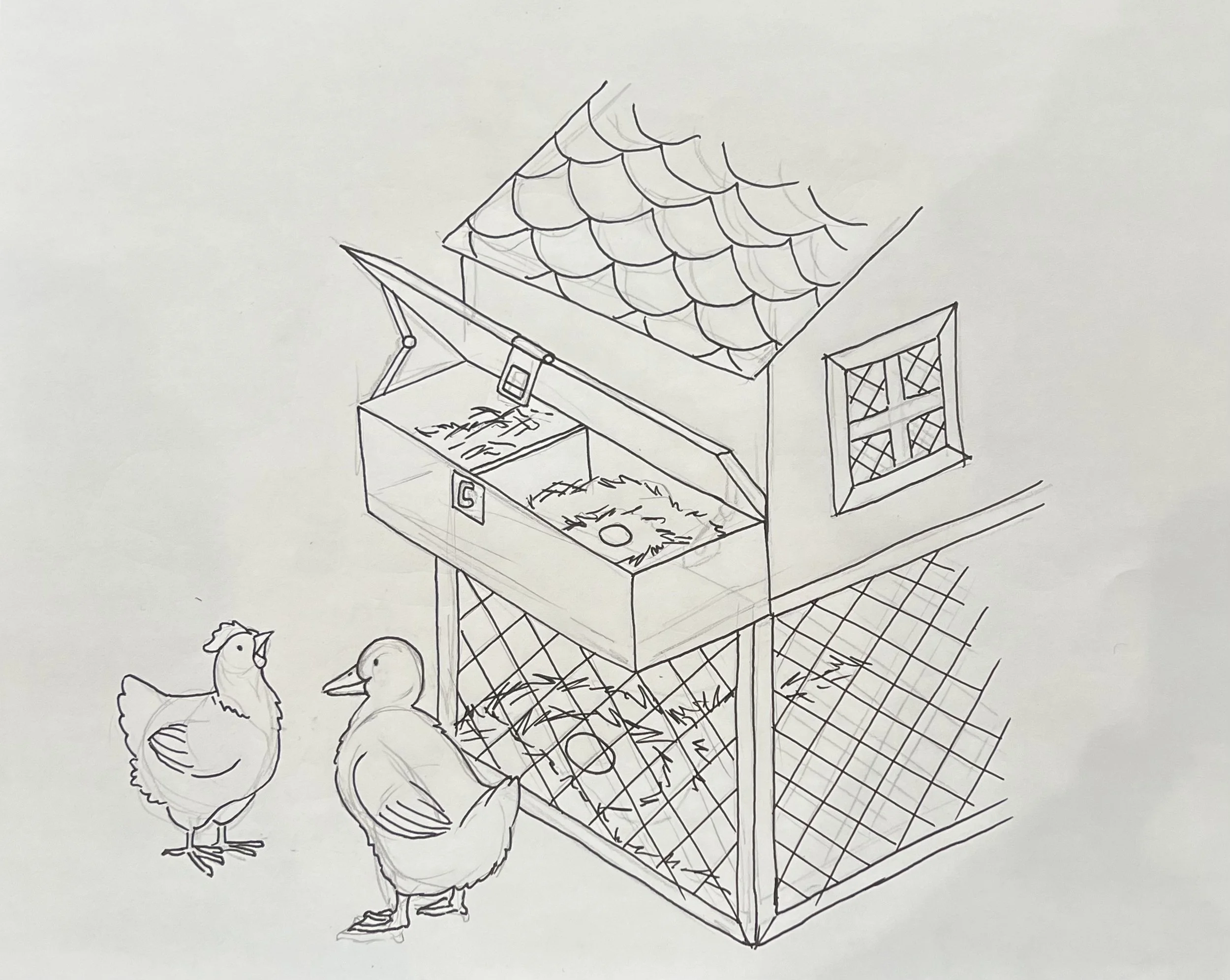 Children's book drawing of a chicken coop with a slanted roof, window, and an open hatch with feed inside. Two chickens are outside the coop, facing each other.