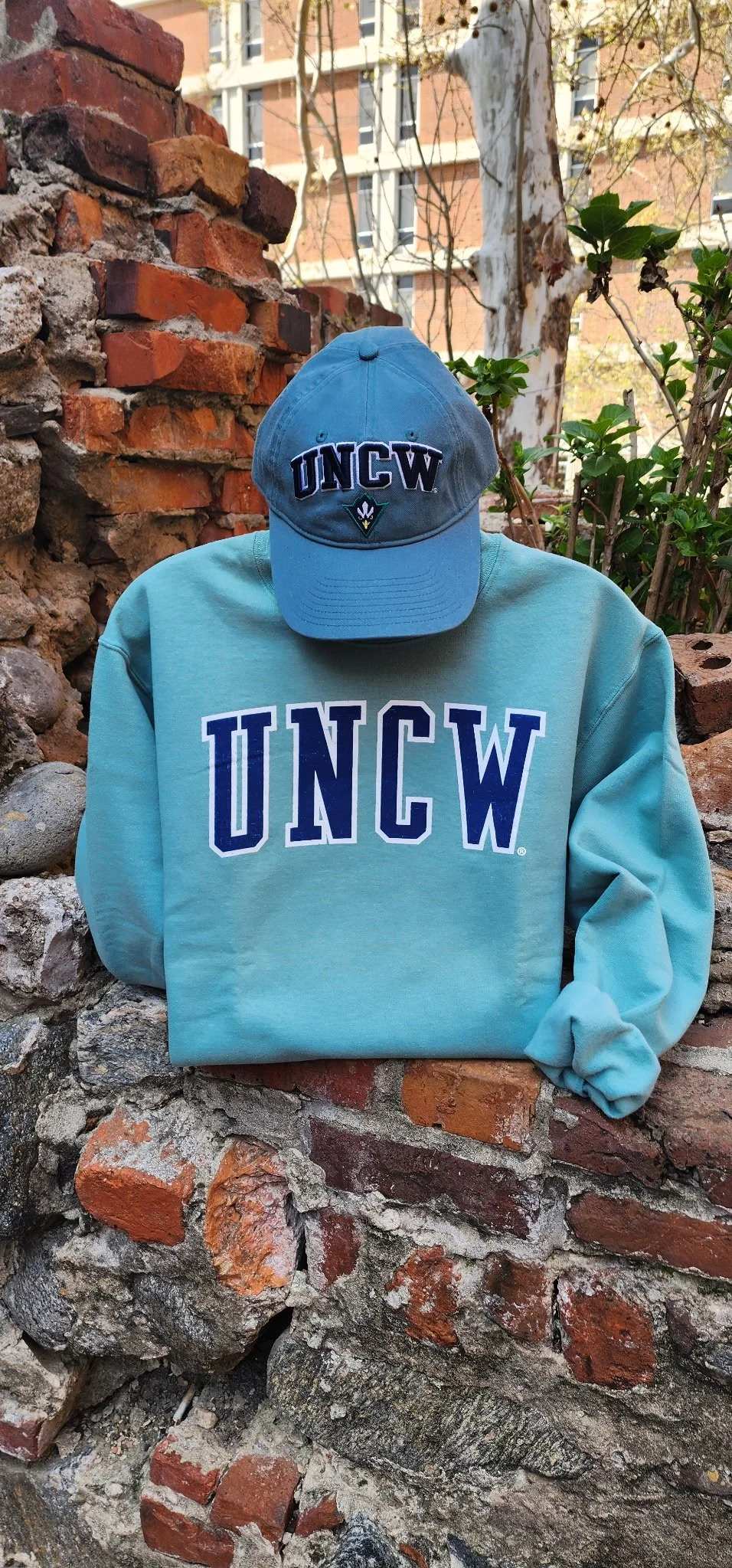 UNCW Basic Crew Neck Sweatshirt