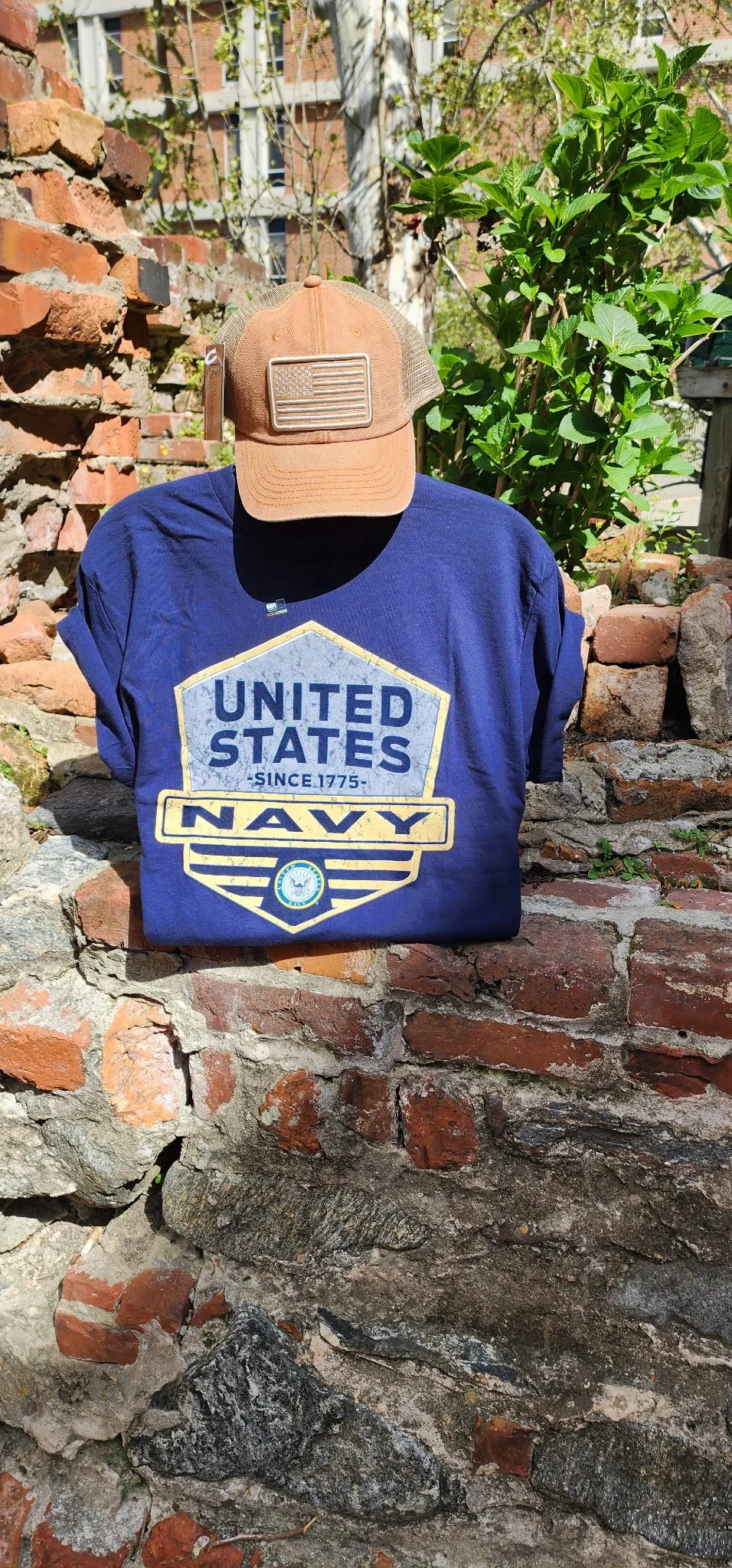 Navy