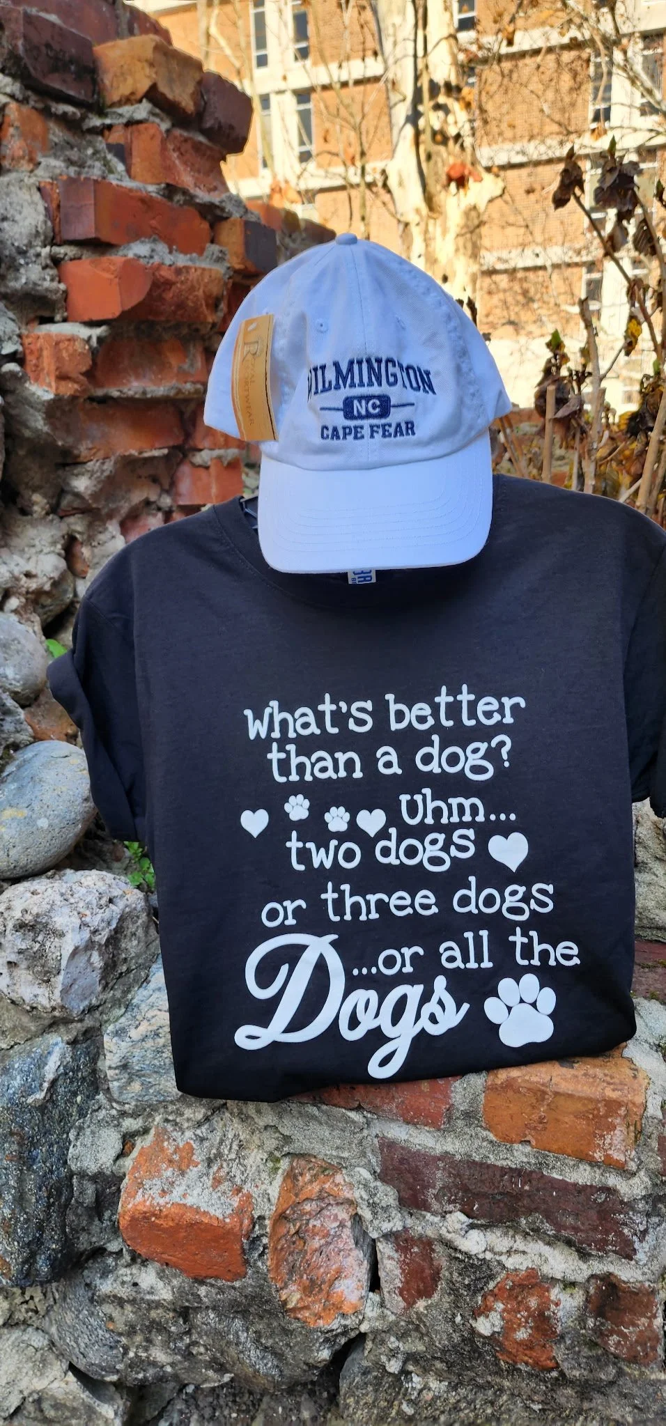 What's Better Than a Dog?