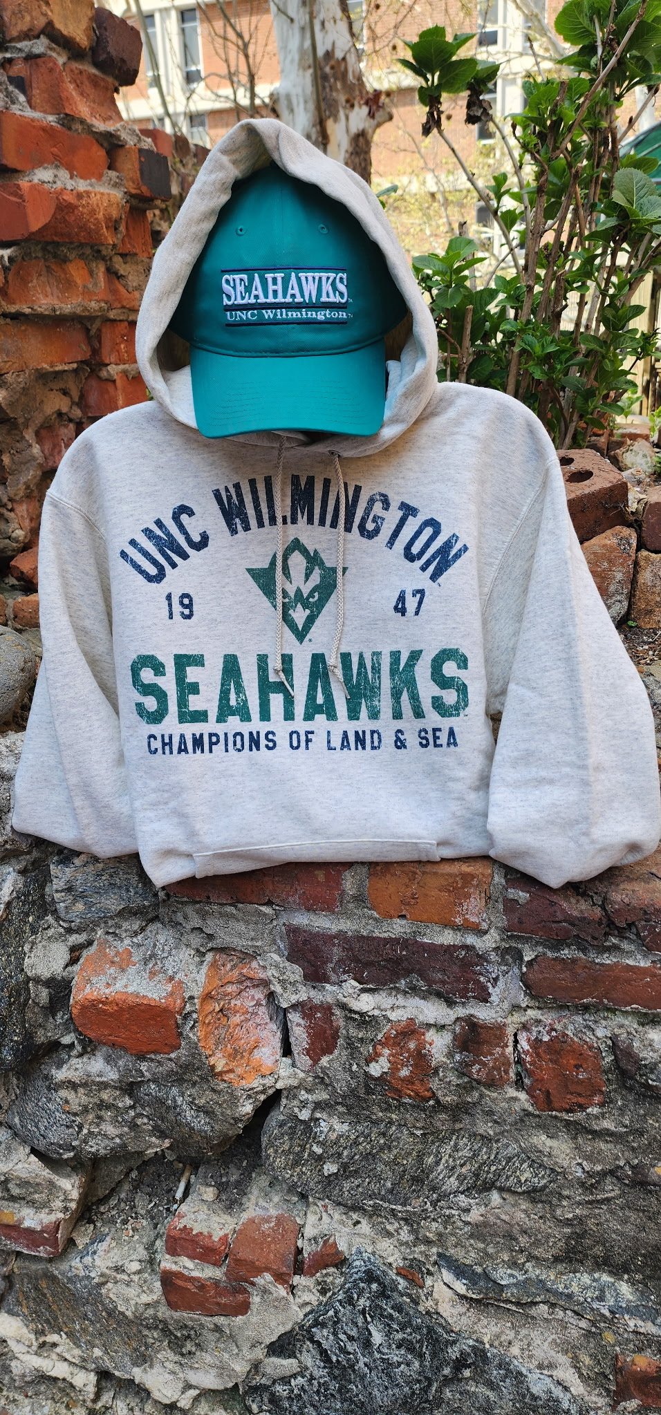 Champions of Land and Sea Hoody