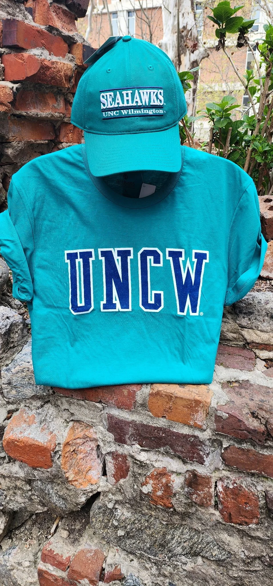 UNCW Basic Tee