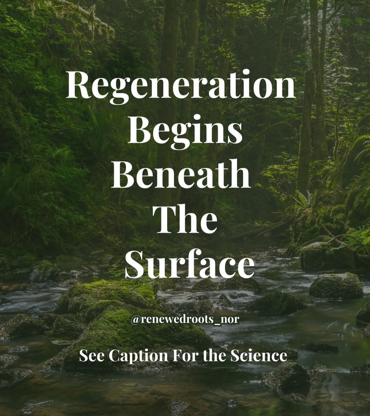 Human composting is regenerative by transforming endings into beginnings, and loss into renewed life.

That&rsquo;s what natural organic reduction (NOR) is all about. As the body is returned to nature through this process, it breaks down into carbon-