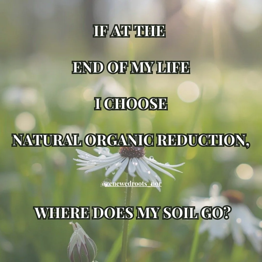 Where does the soil go after human composting? 🌱

After the natural organic reduction (NOR) process is complete, the body has transformed into nutrient-rich soil through a carefully monitored, natural process. From there, the soil goes through a sho