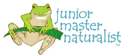 Cartoon frog sitting on a branch with the words "junior master naturalist" beside it.