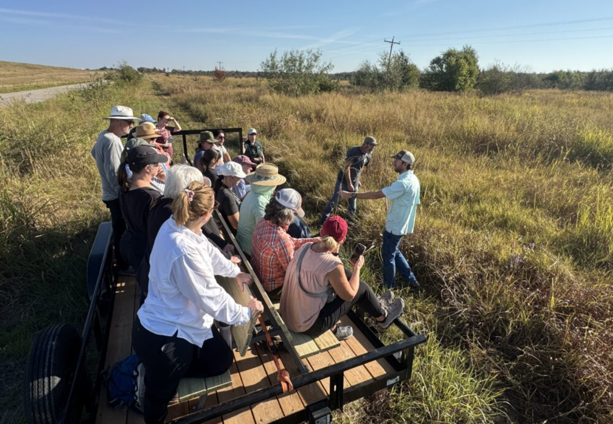 A group of people on a flatbed trailer observing and learning about a wetland or marsh from a guide during a nature tour on a sunny day.