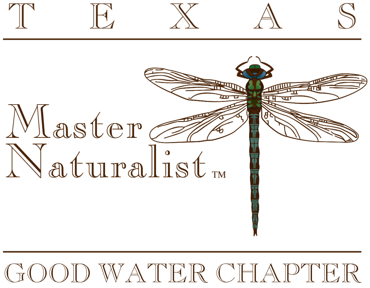 Good Water Chapter