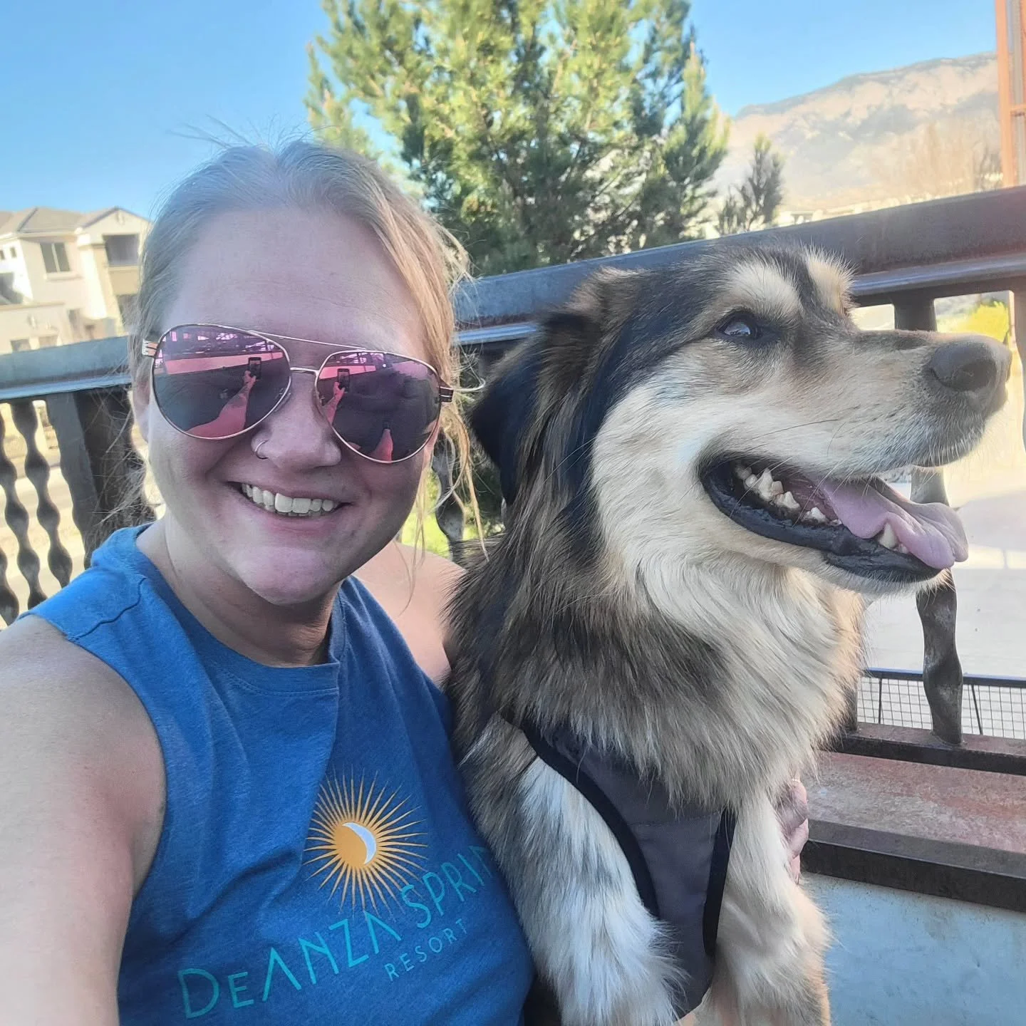 I just got published in a magazine with my writing &amp; I get to do it 3 more times this year.

I just made the logo &amp; get to do the digital marketing of a 76 year old annual event.

I, TODAY, get to go shoot another part of a brand story commer