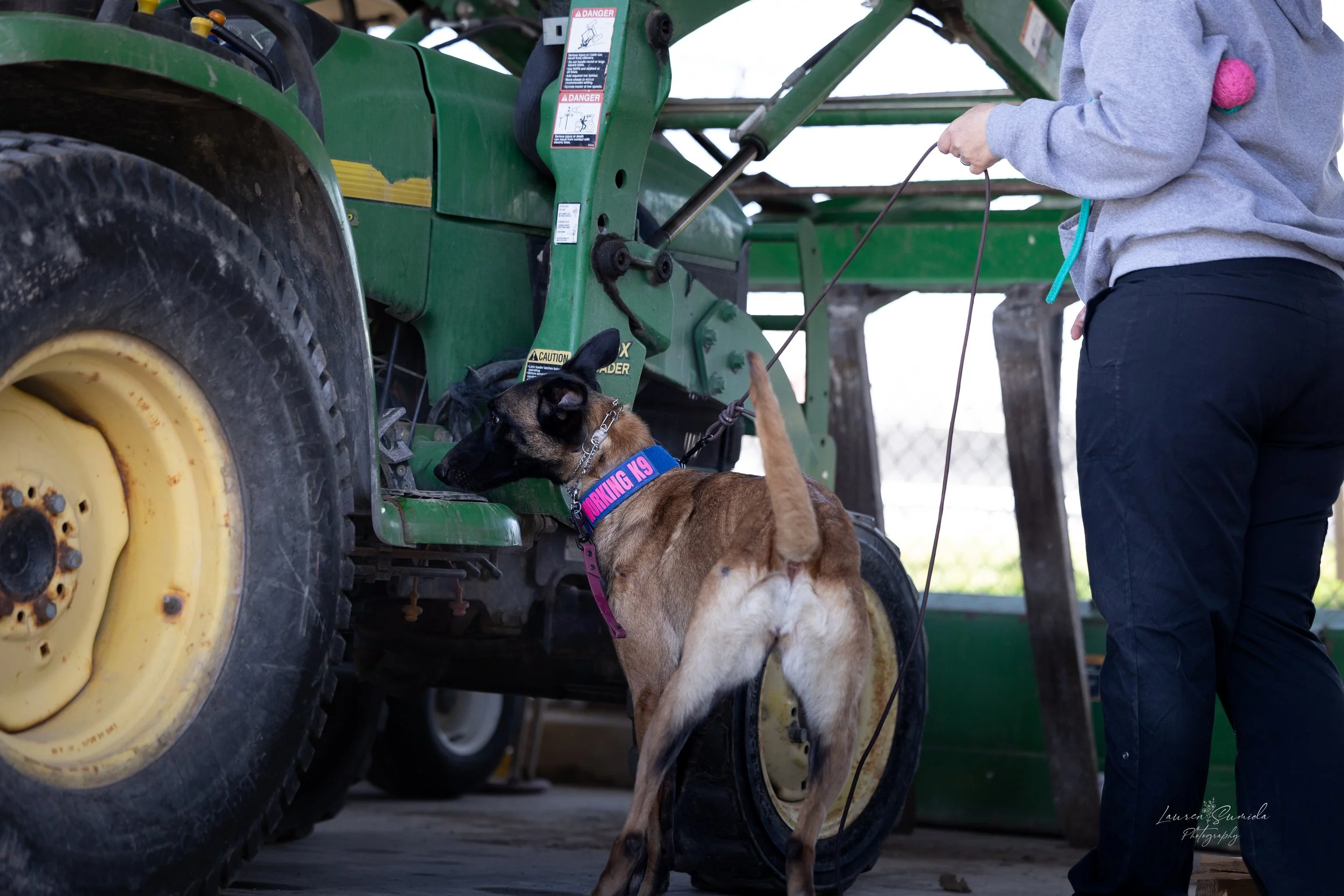 Tiamat | Double Certified Narcotics & Apex Athlete (W.D.D.O./POST)  
A versatile professional, Tiamat holds dual narcotics certifications through WDDO and Utah POST standards. She embodies the seamless integration of operational detection and athleti