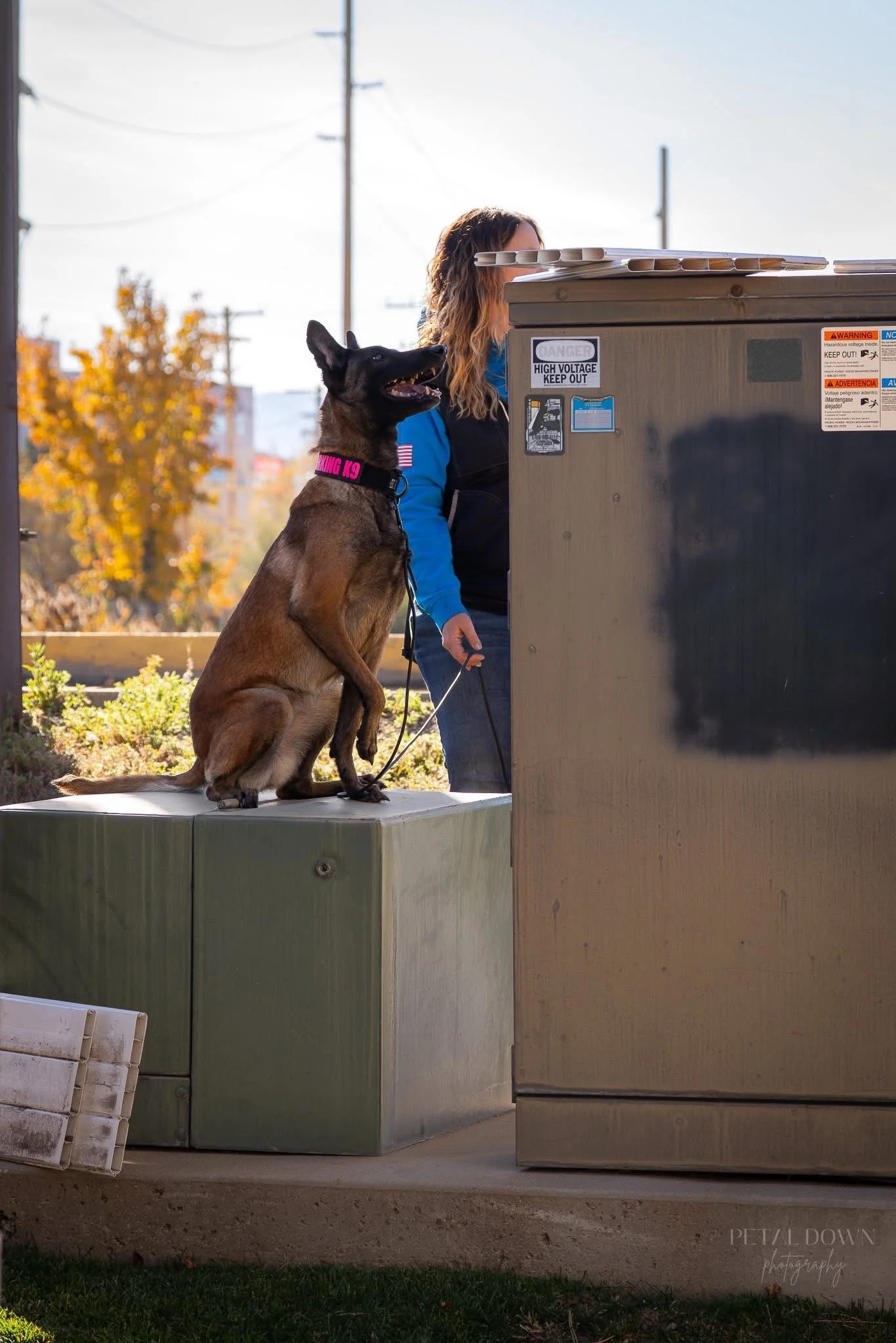 Jindra | Double Certified Narcotics (W.D.D.O./POST)  
Jindra is a high-caliber professional holding dual narcotics certifications through WDDO and Utah POST standards. Known for her environmental stability and relentless work ethic, she represents th