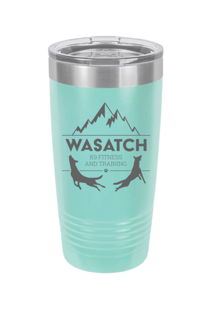 THE BASE CAMP 20 OZ TUMBLER