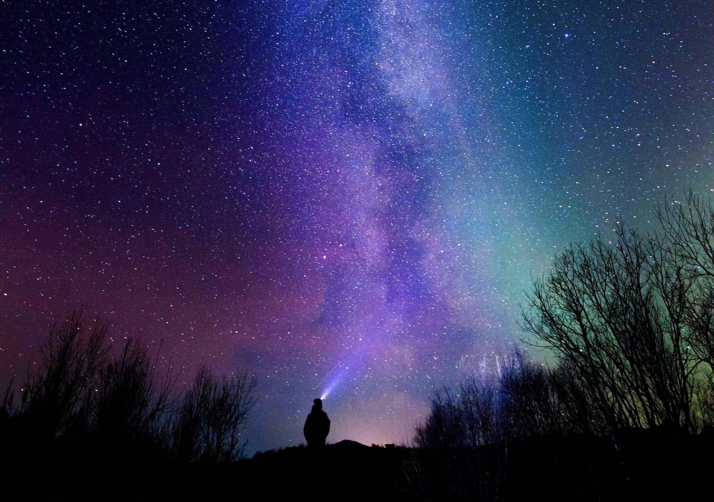 The New Science of Human Potential