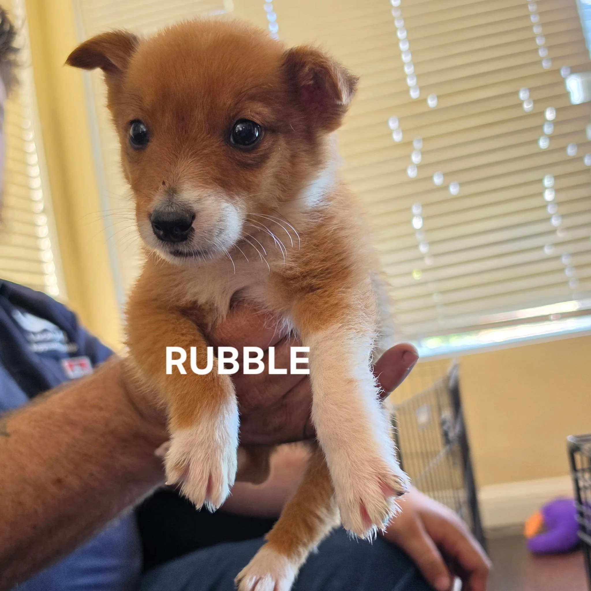 Rubble.jpg
