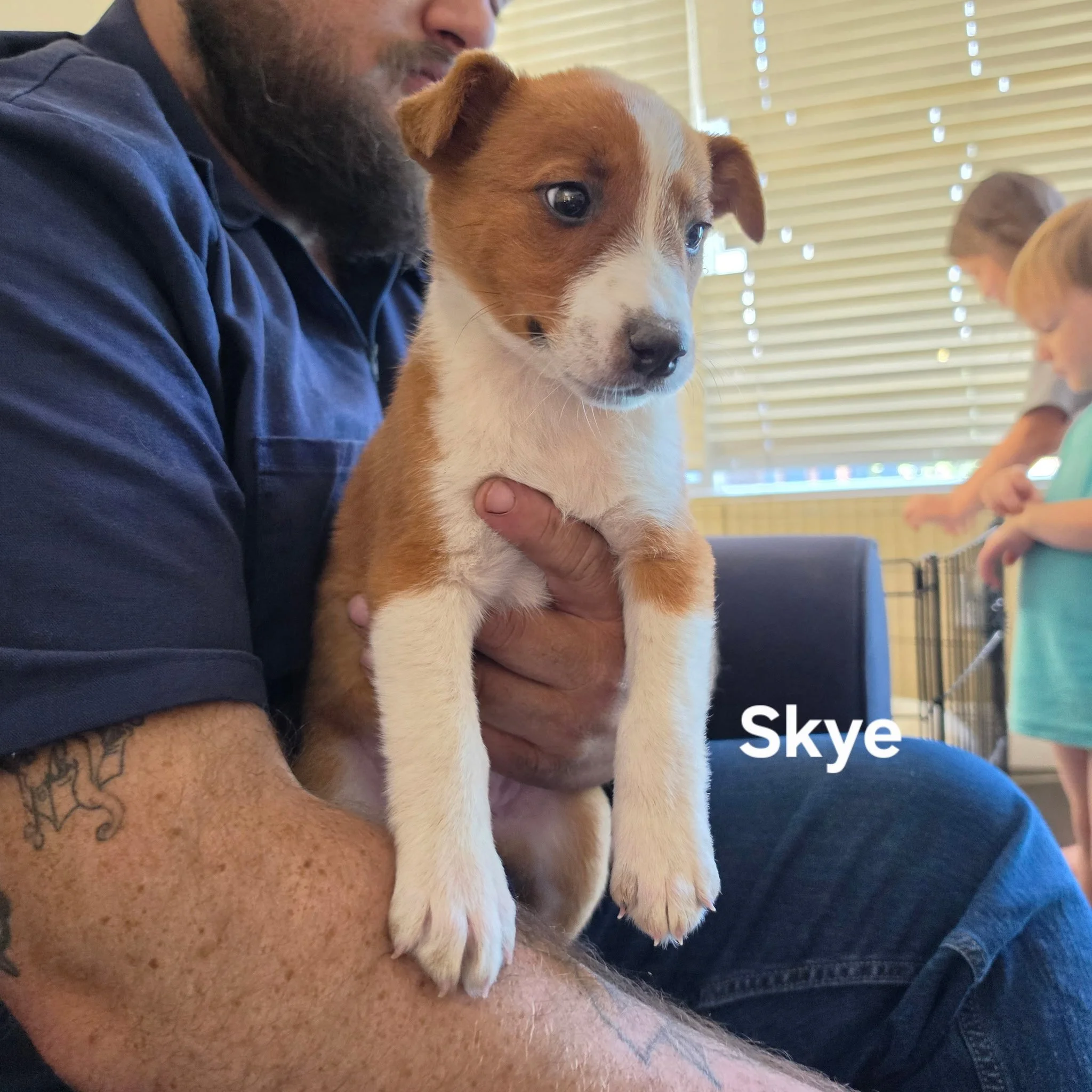 Skye.jpg