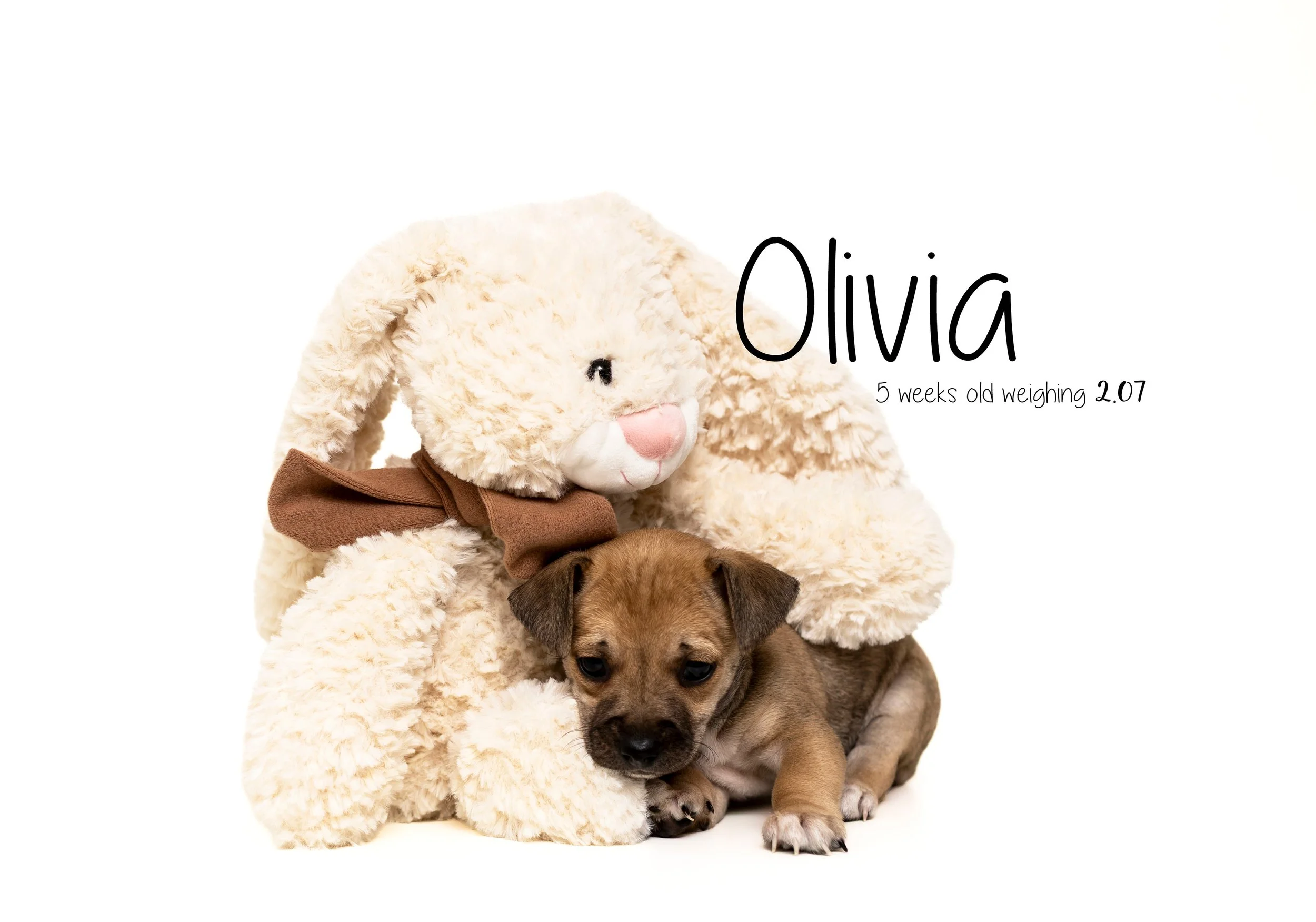 Olivia.jpg