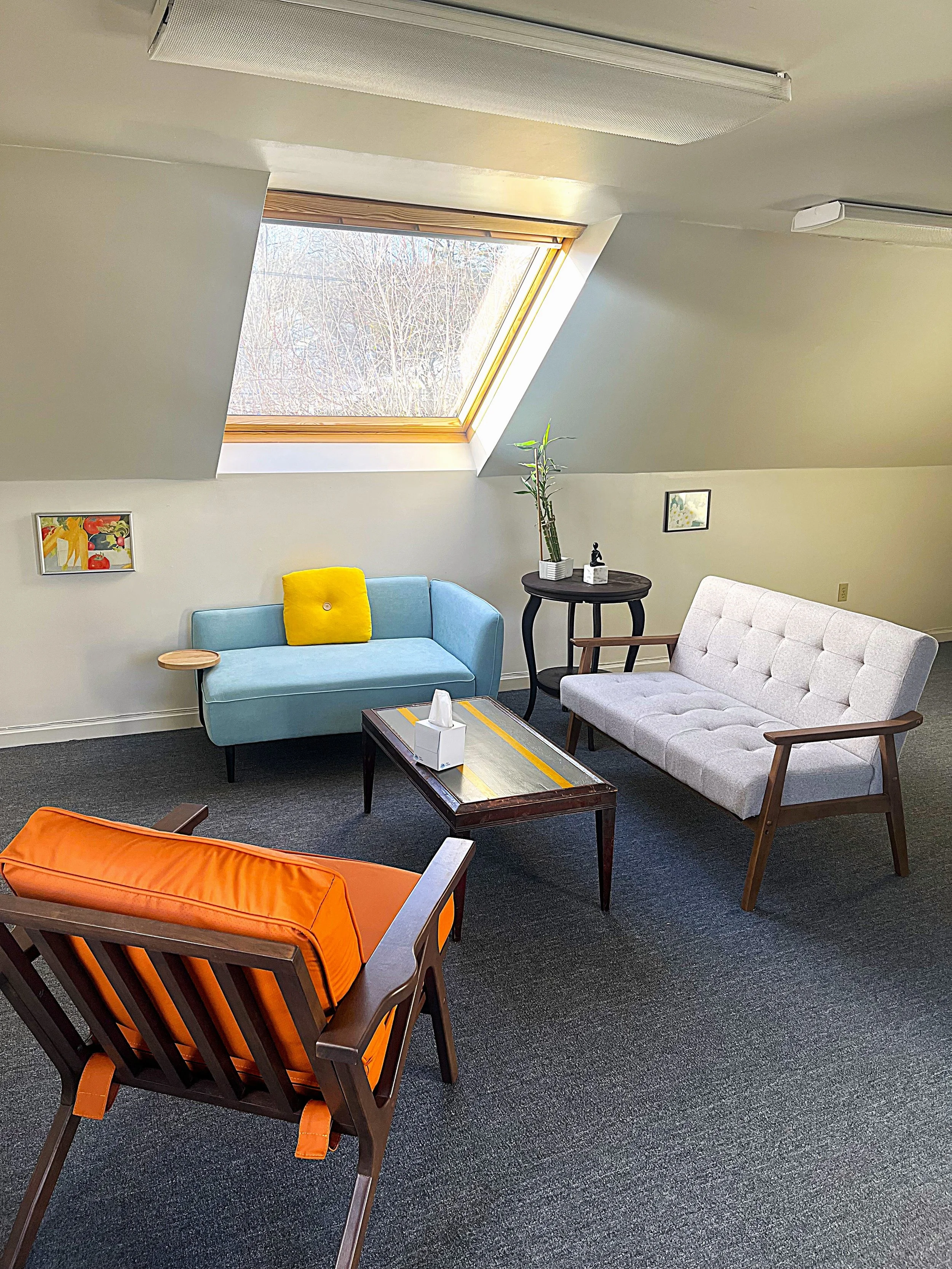a cozy living room with a skylight window, light blue sofa with a yellow cushion, a white tufted loveseat, an orange cushioned chair, a wooden coffee table with a tissue box, a black side table with a potted plant, and small framed artworks on the walls.