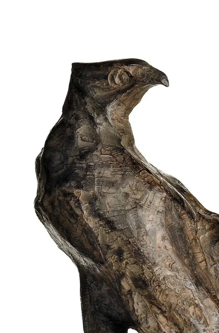 Hawk