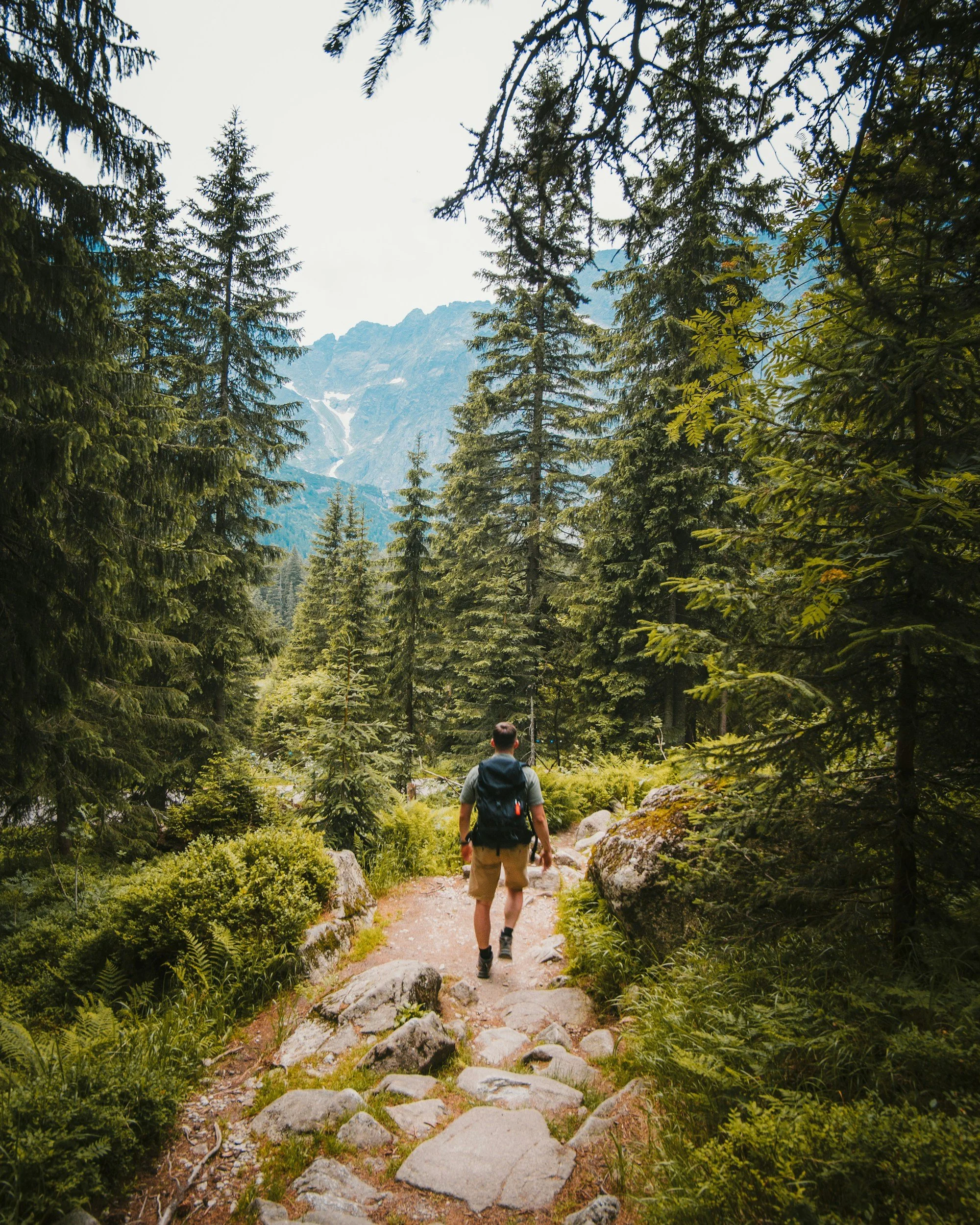 A person hiking on a rocky trail through a forested mountain landscape. The trail is surrounded by green vegetation and tall pine trees, with mountain peaks in the background.