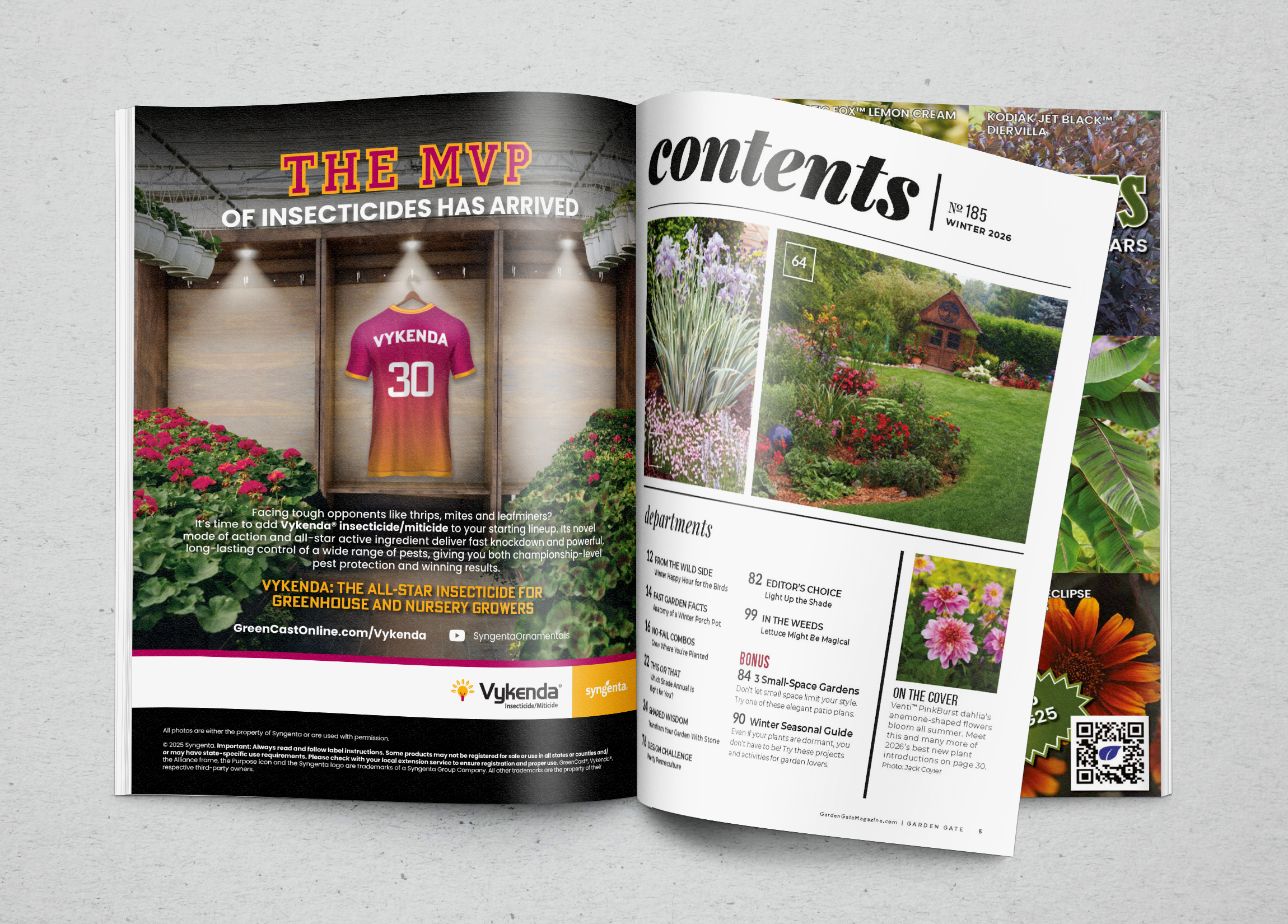 Vykenda Advertising Concept