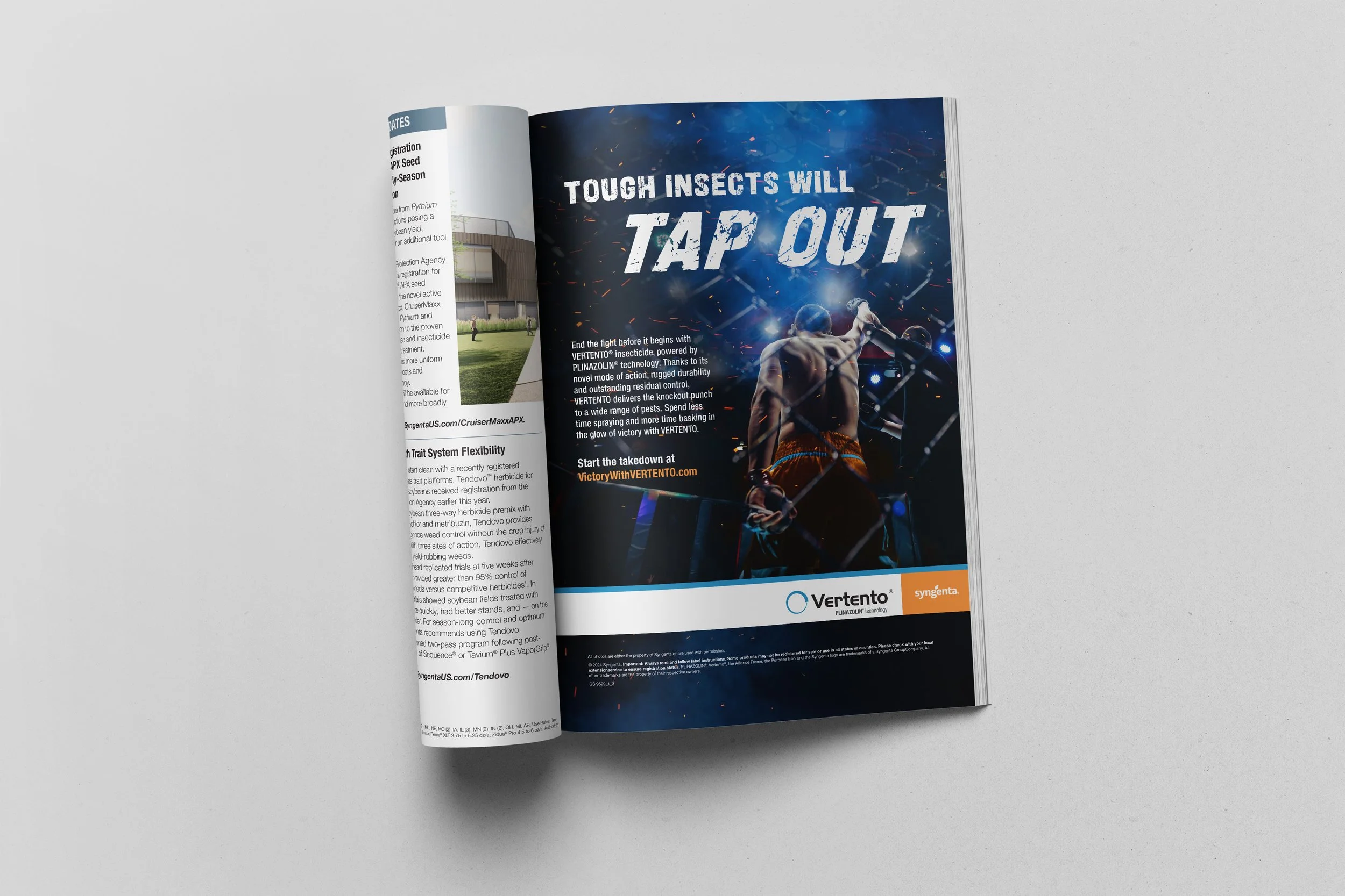 Magazine_Mockup_VERTENTO.jpg