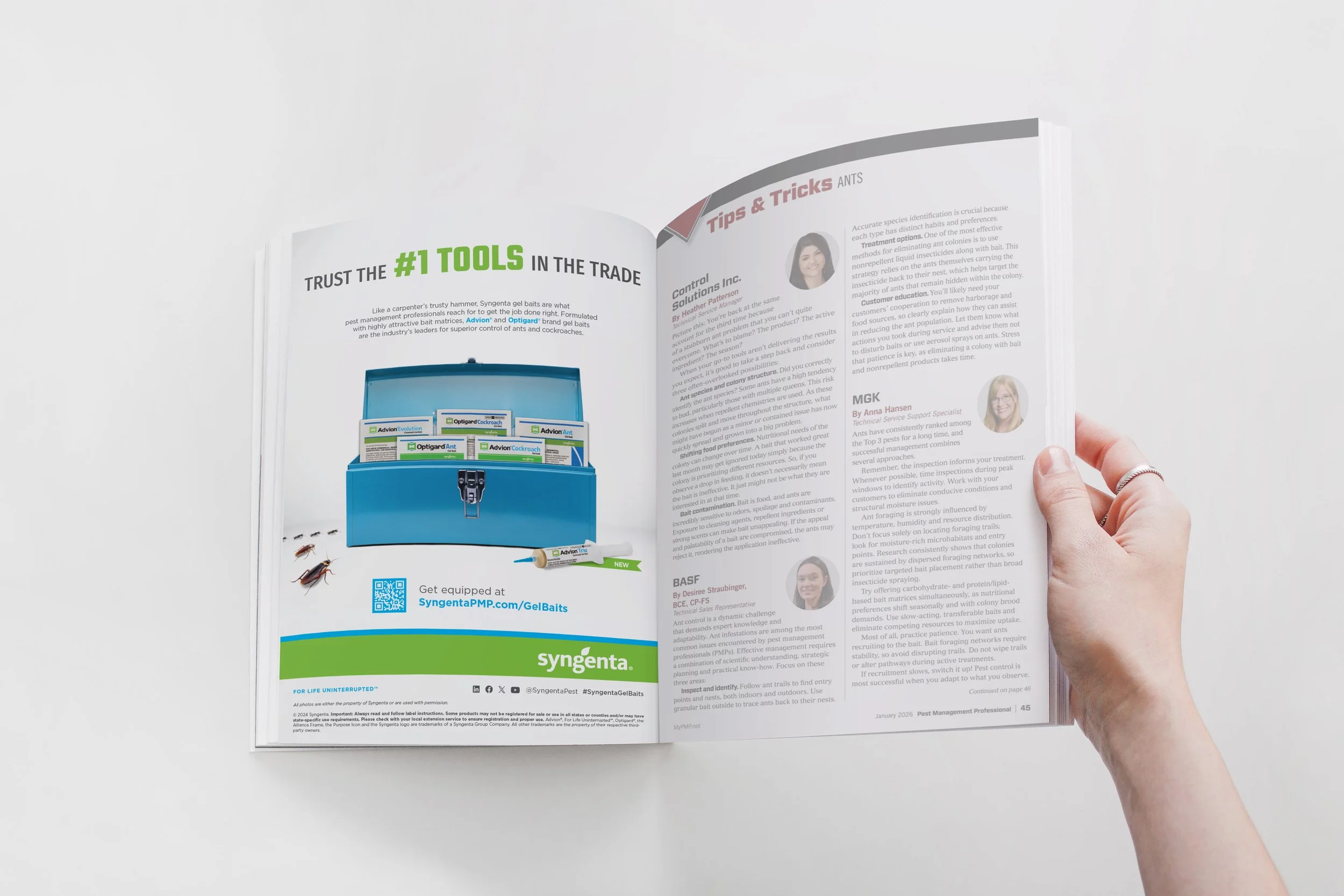 Gel Baits Portfolio Advertising Concept