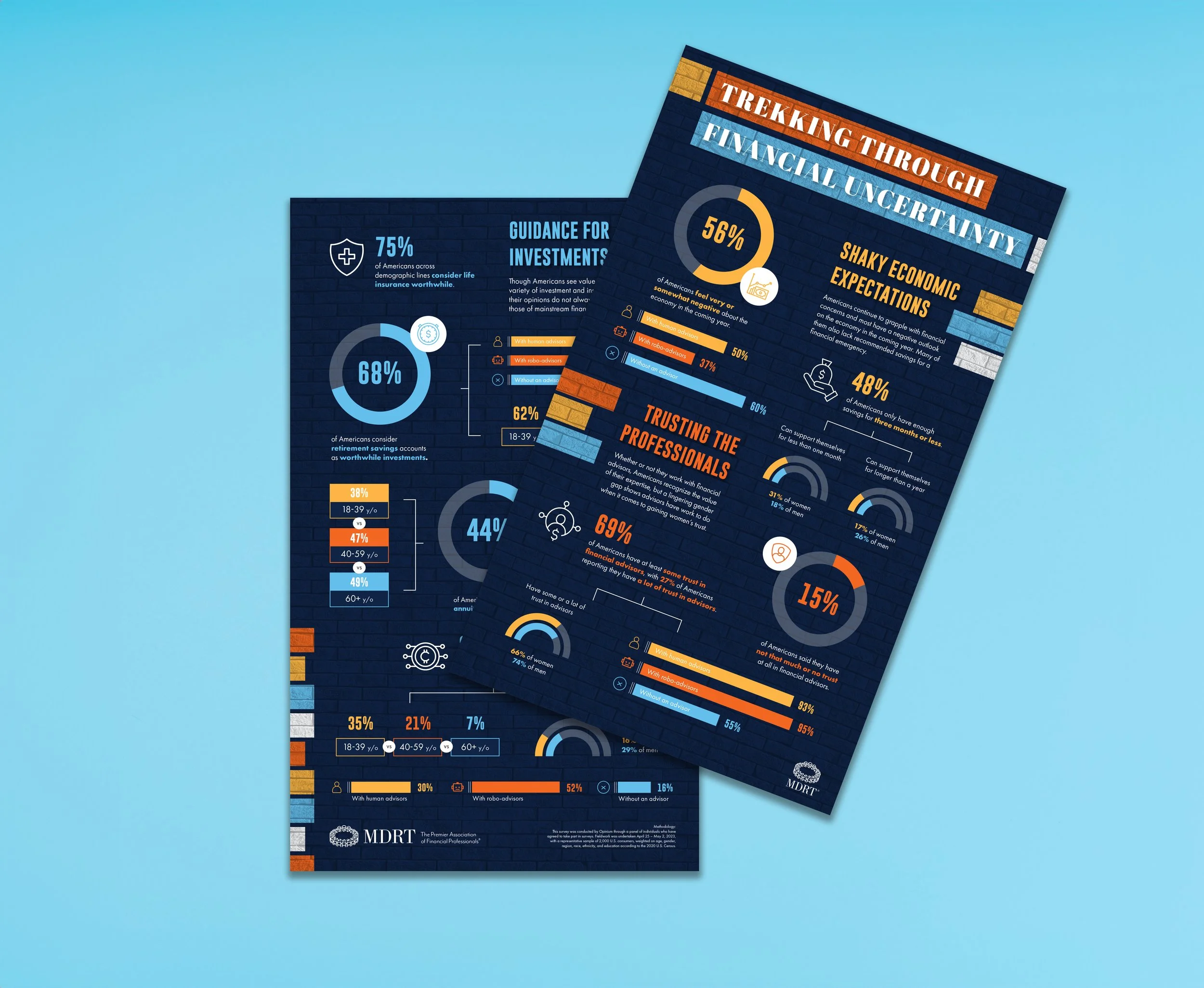 Multi-Country Survey Infographic