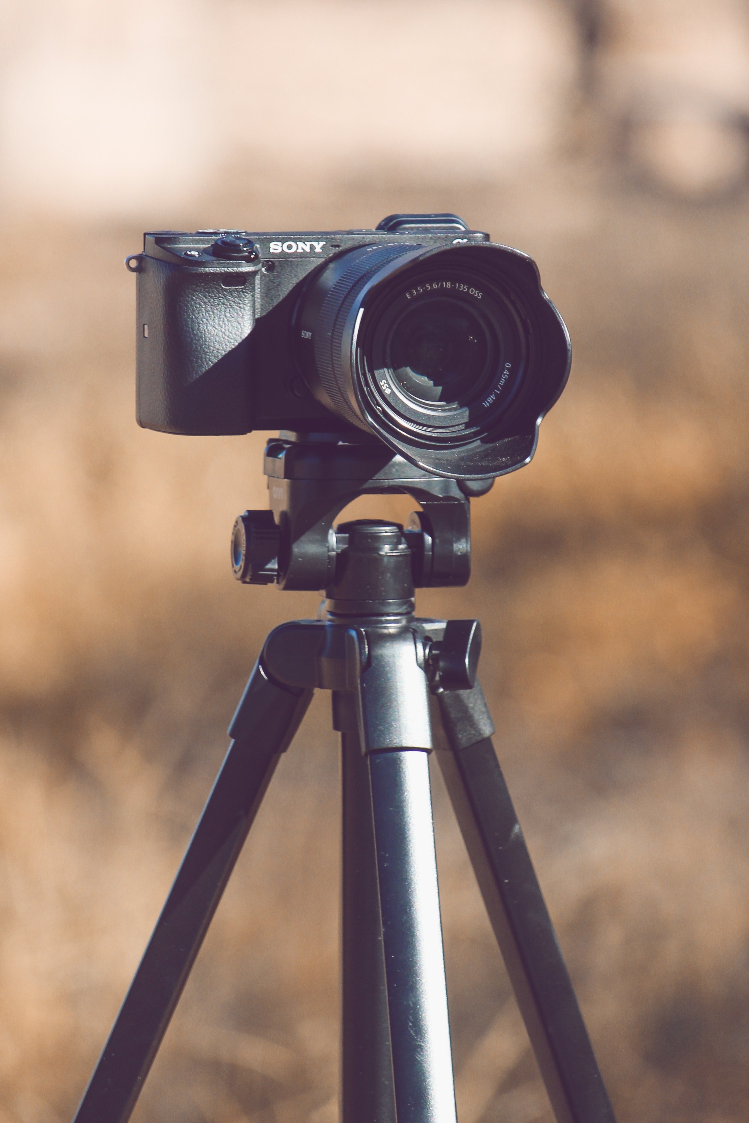 “How long does the whole process usually take?”