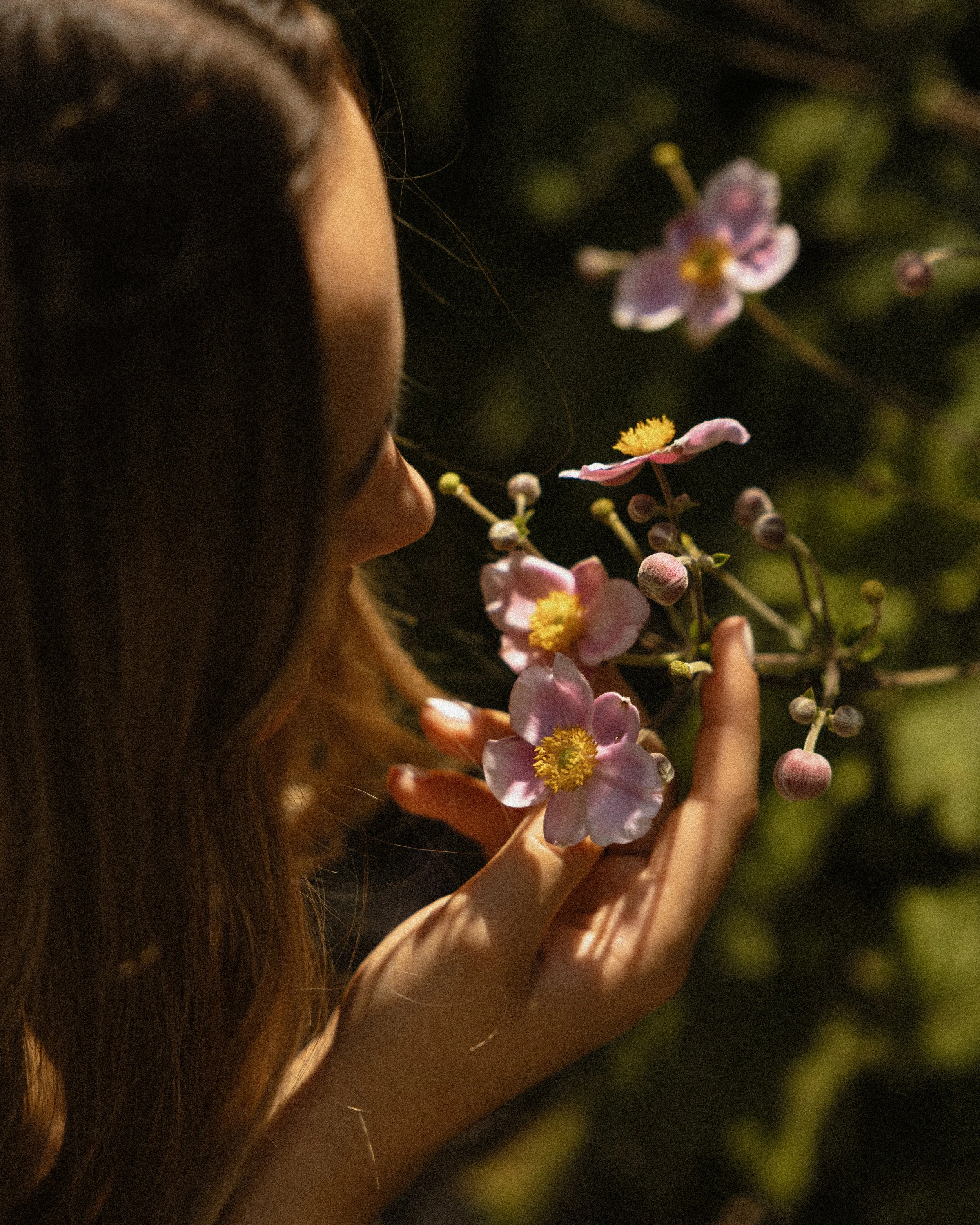 Big sop florence-82.jpg