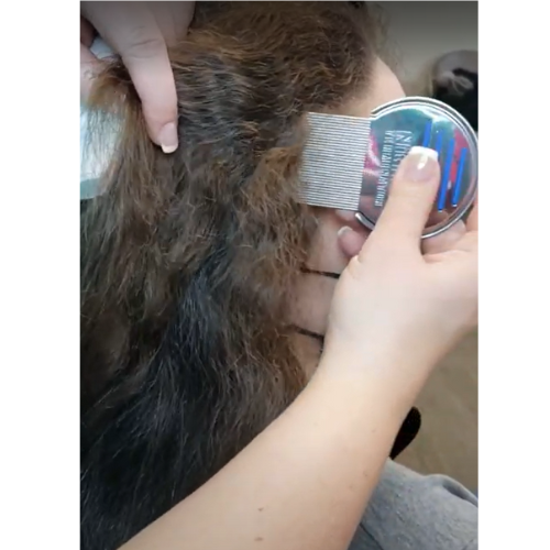 Professional combing another person's hair with a head lice comb.