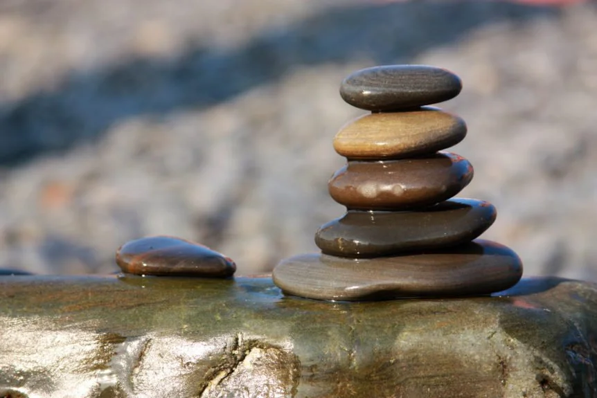 02.22.26 The Kidneys &amp; Urinary Bladder in TCM